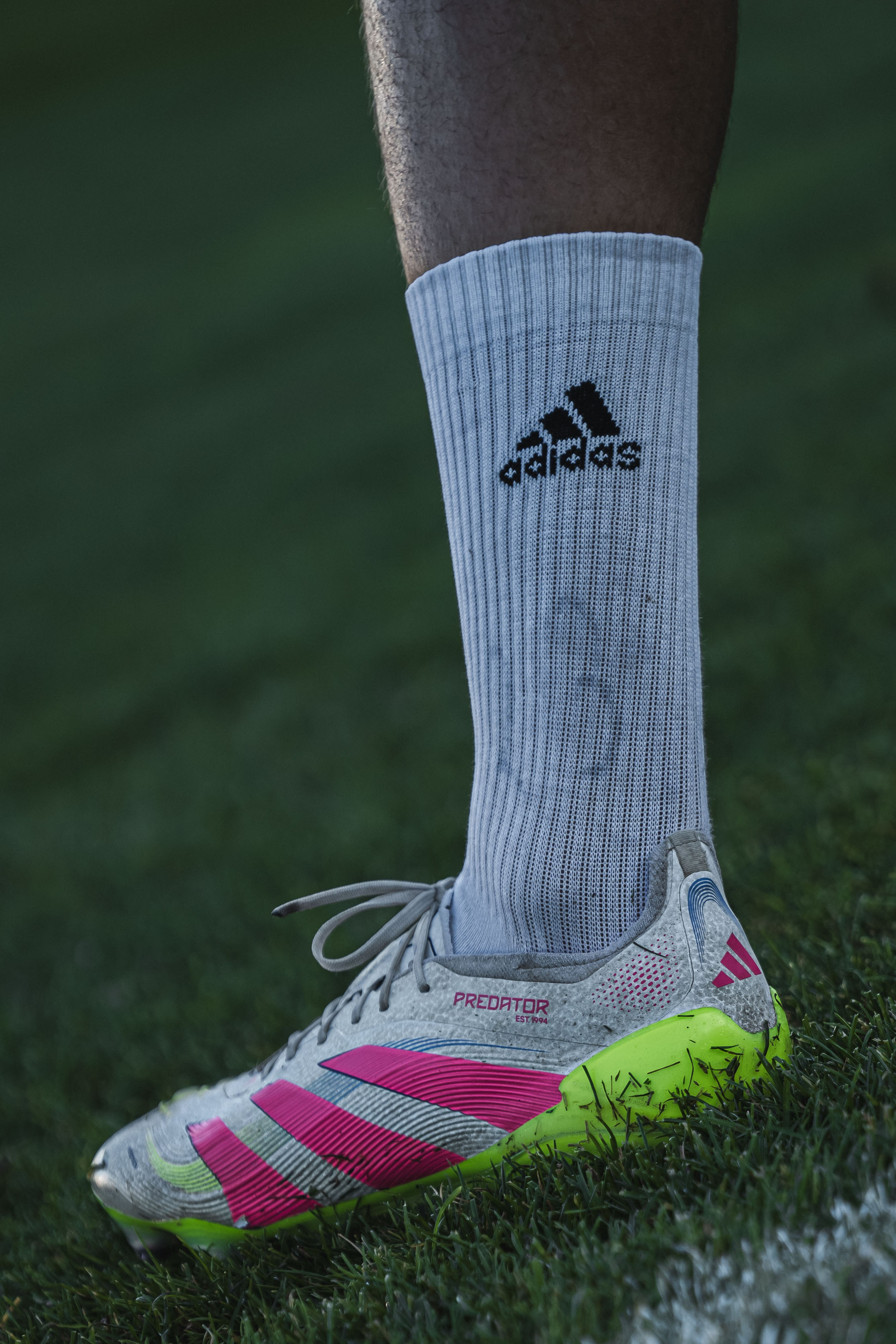 FK Sarajevo — 2025/2026