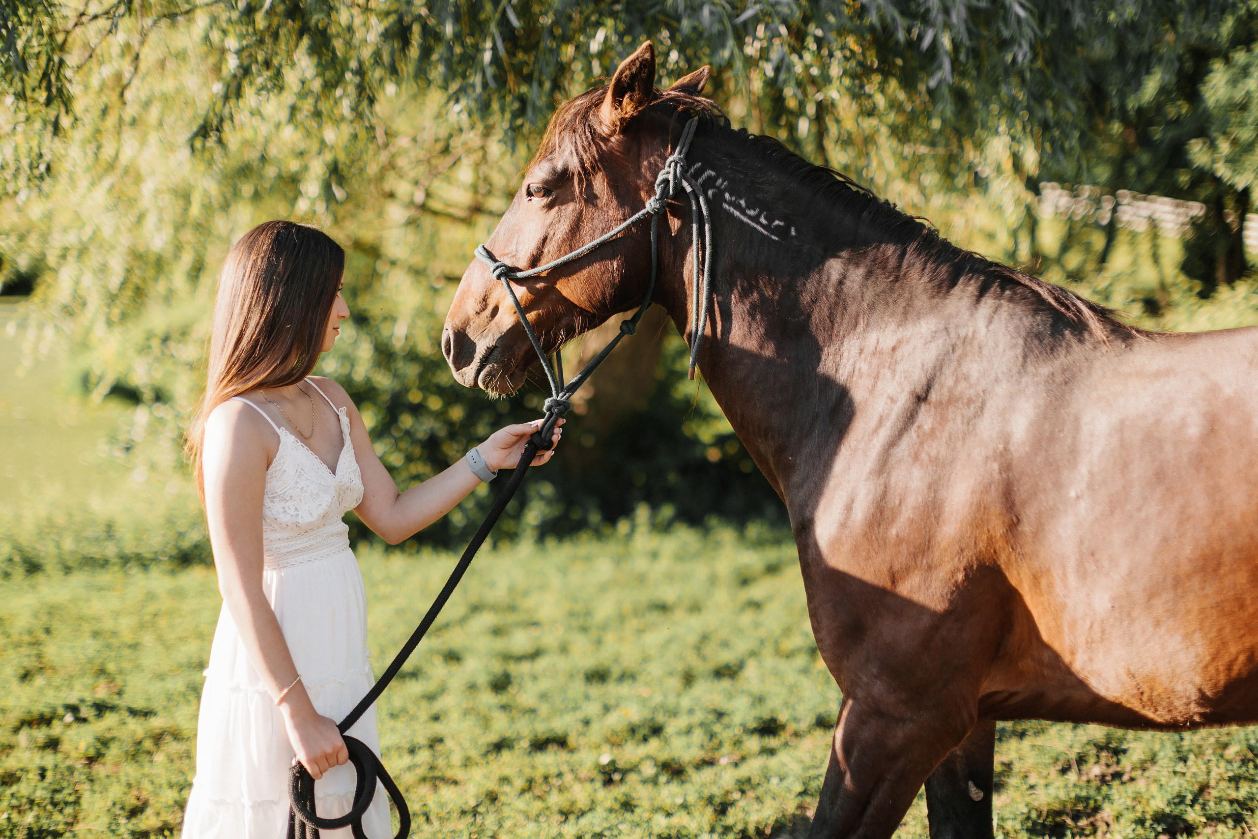 30.05.24 Family Photoshoot. Wedding family event photographer in Chicago Nick Yushevich