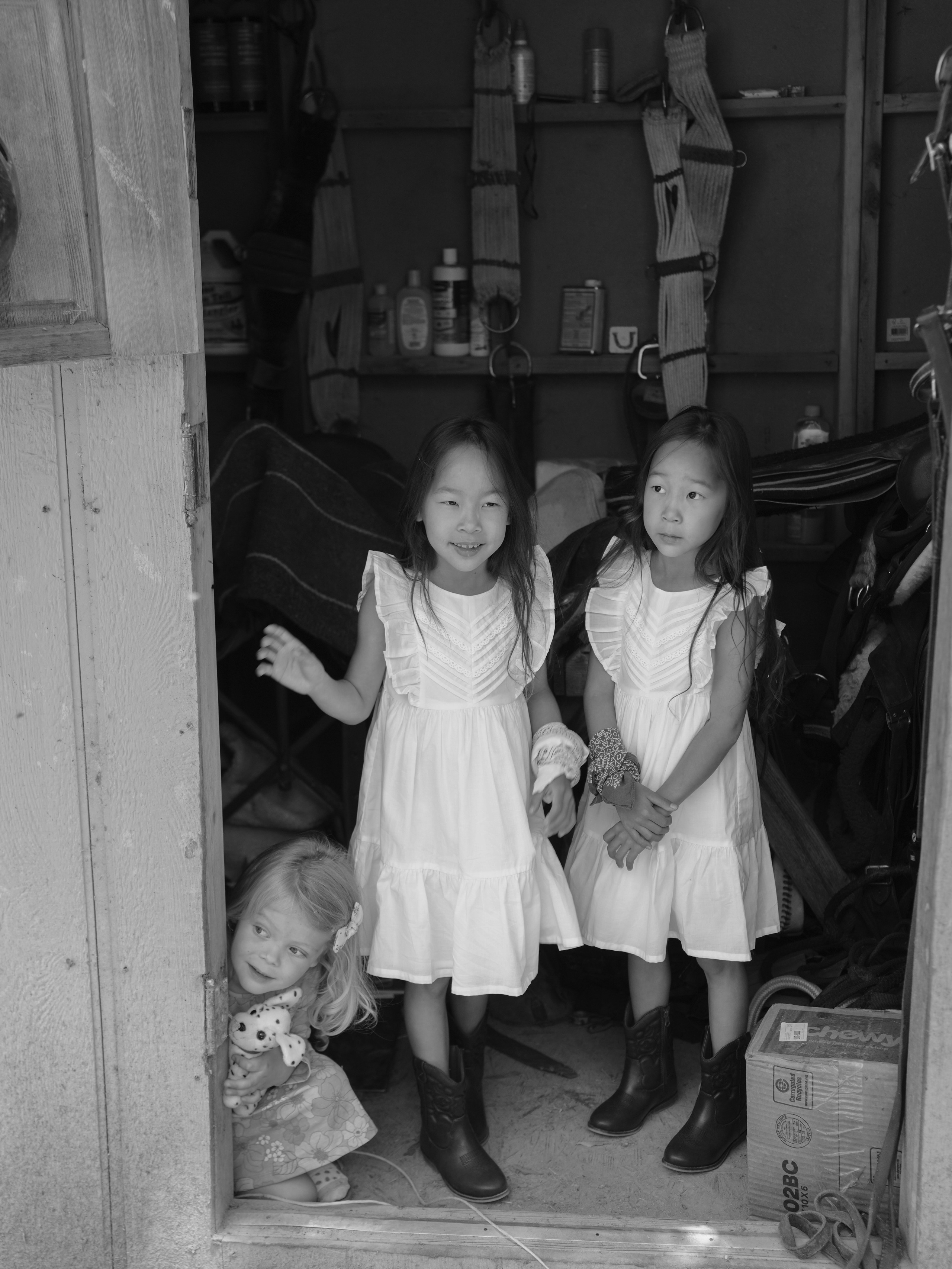 Children with horses. Фотограф и видеограф в США (и по всему миру) — Татьяна Иванова