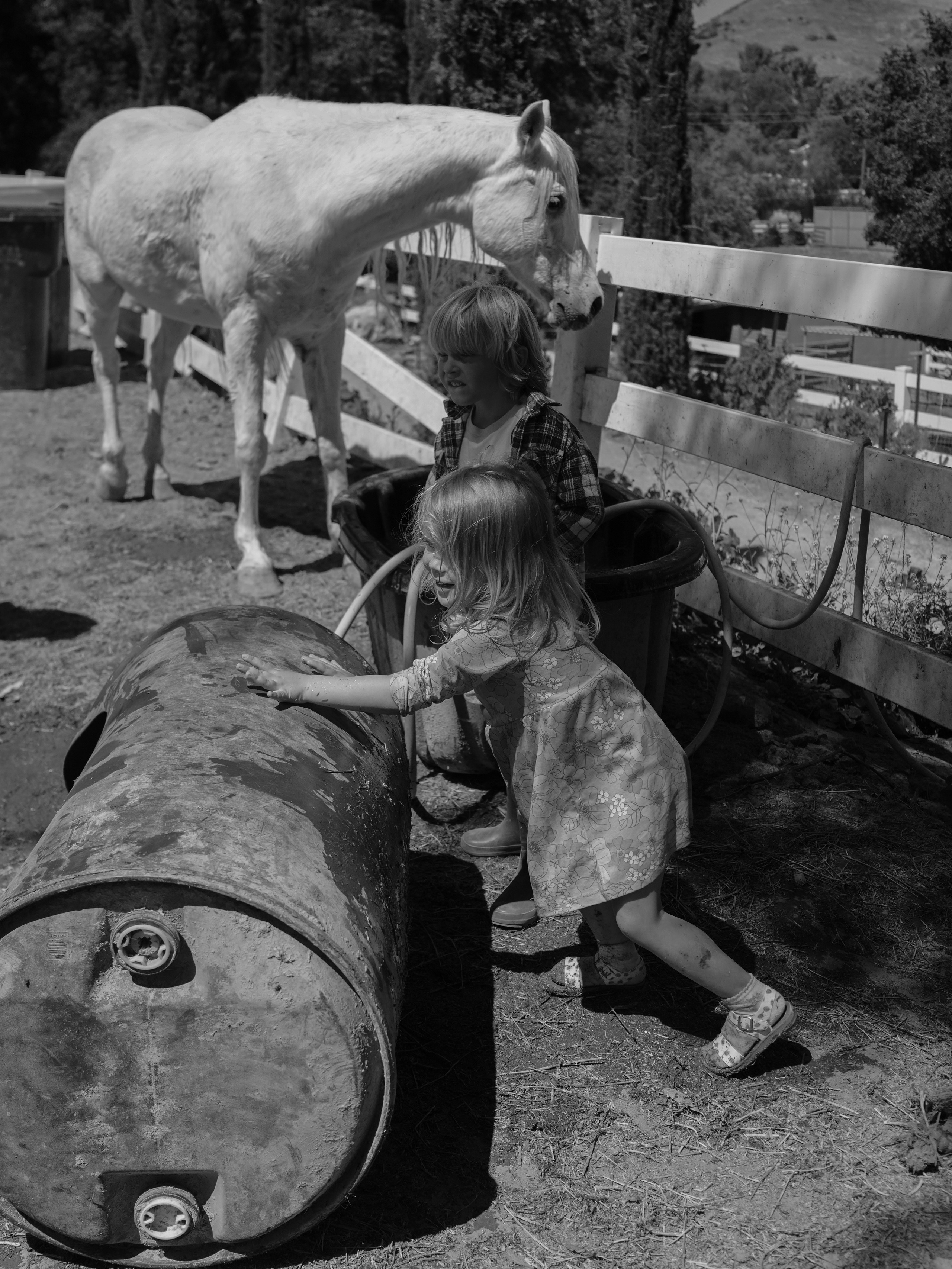 Children with horses. Фотограф и видеограф в США (и по всему миру) — Татьяна Иванова