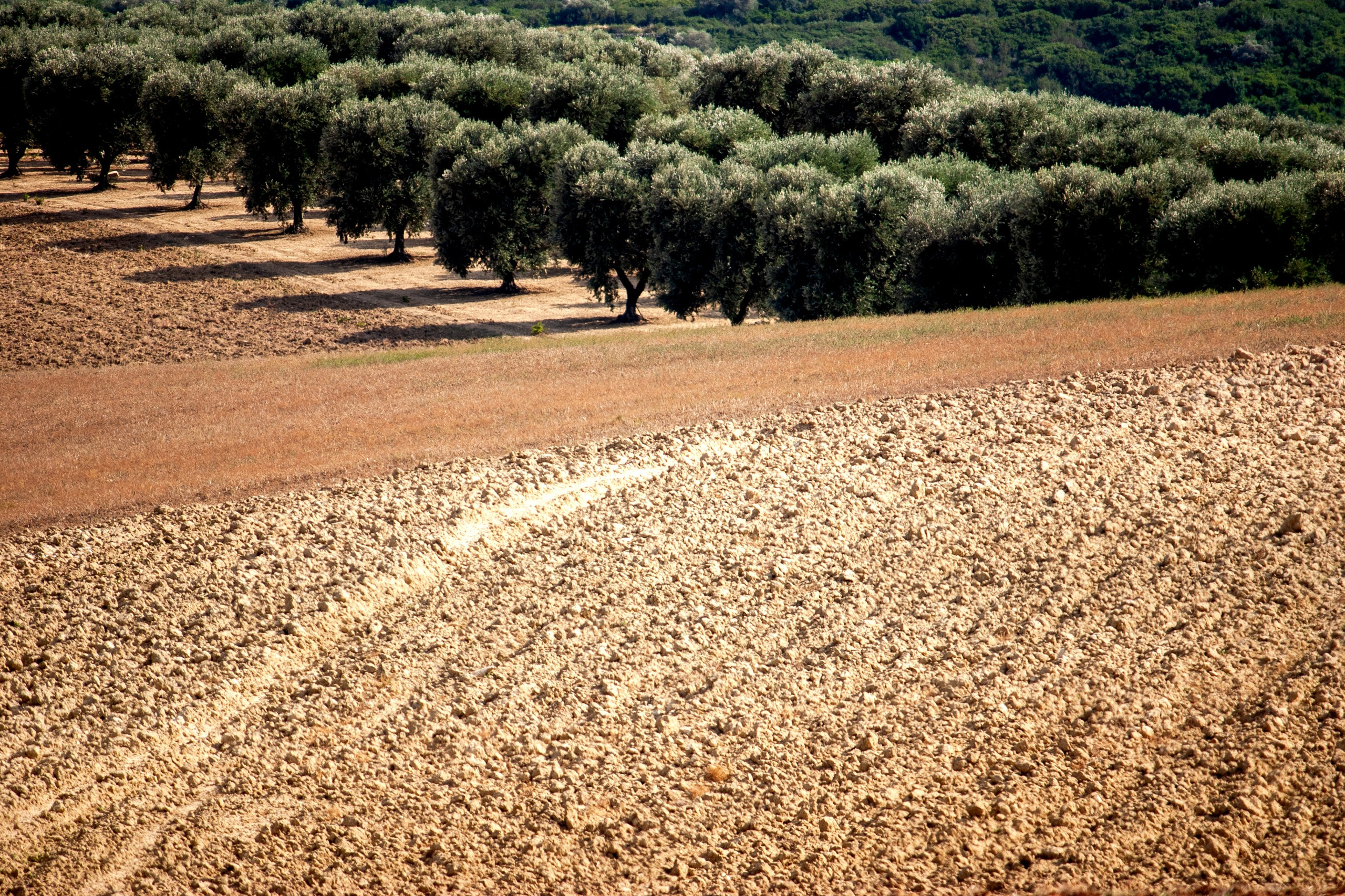 Citiscape, Landscapes, Arcitecture. Marco Greco Architectural and interiors photographer based in Apulia Italy Fotografo di architettura interni Puglia B&B Case vacanze Hotel