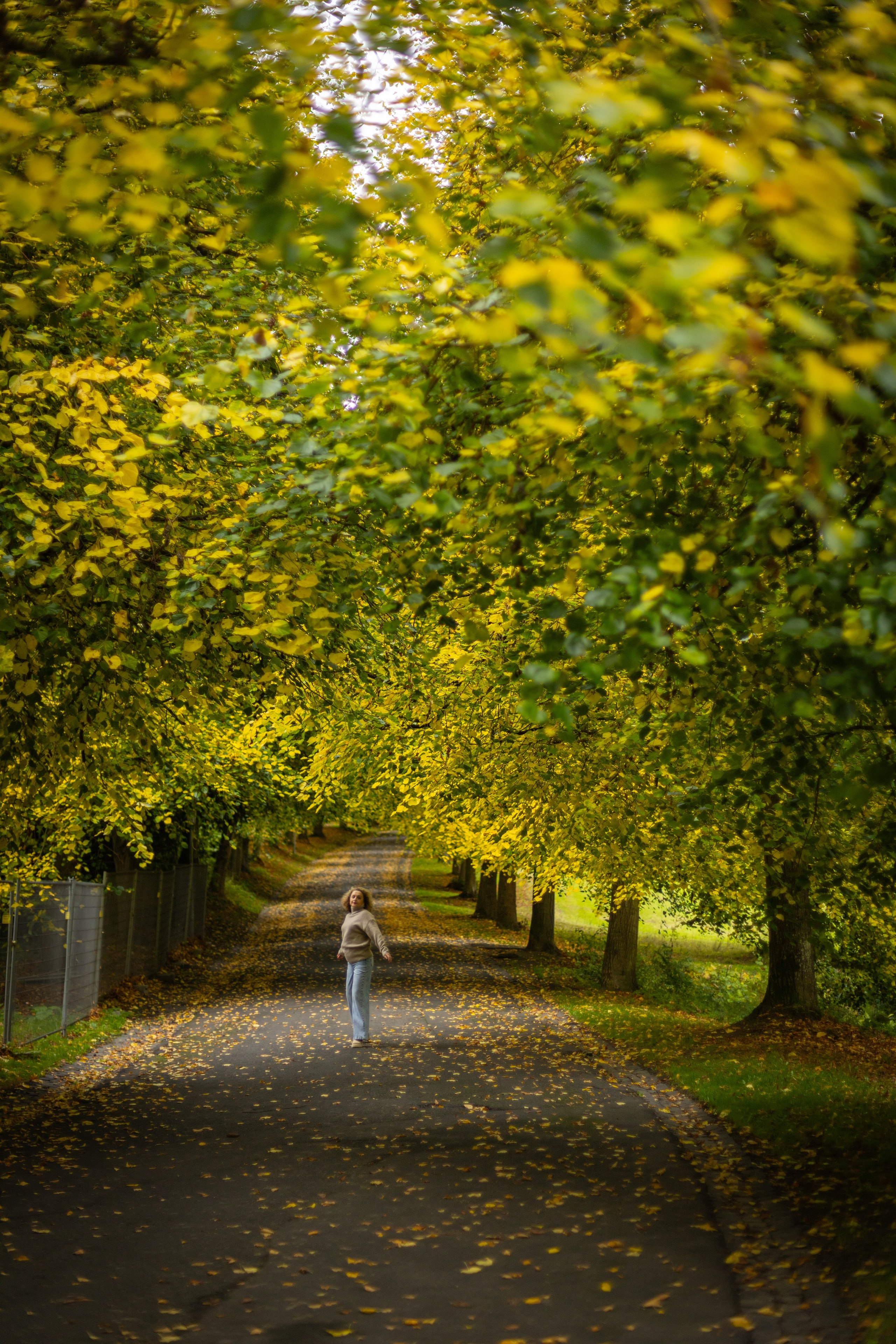 Autumn photos. PHOTOgrapher Germany MARBURG