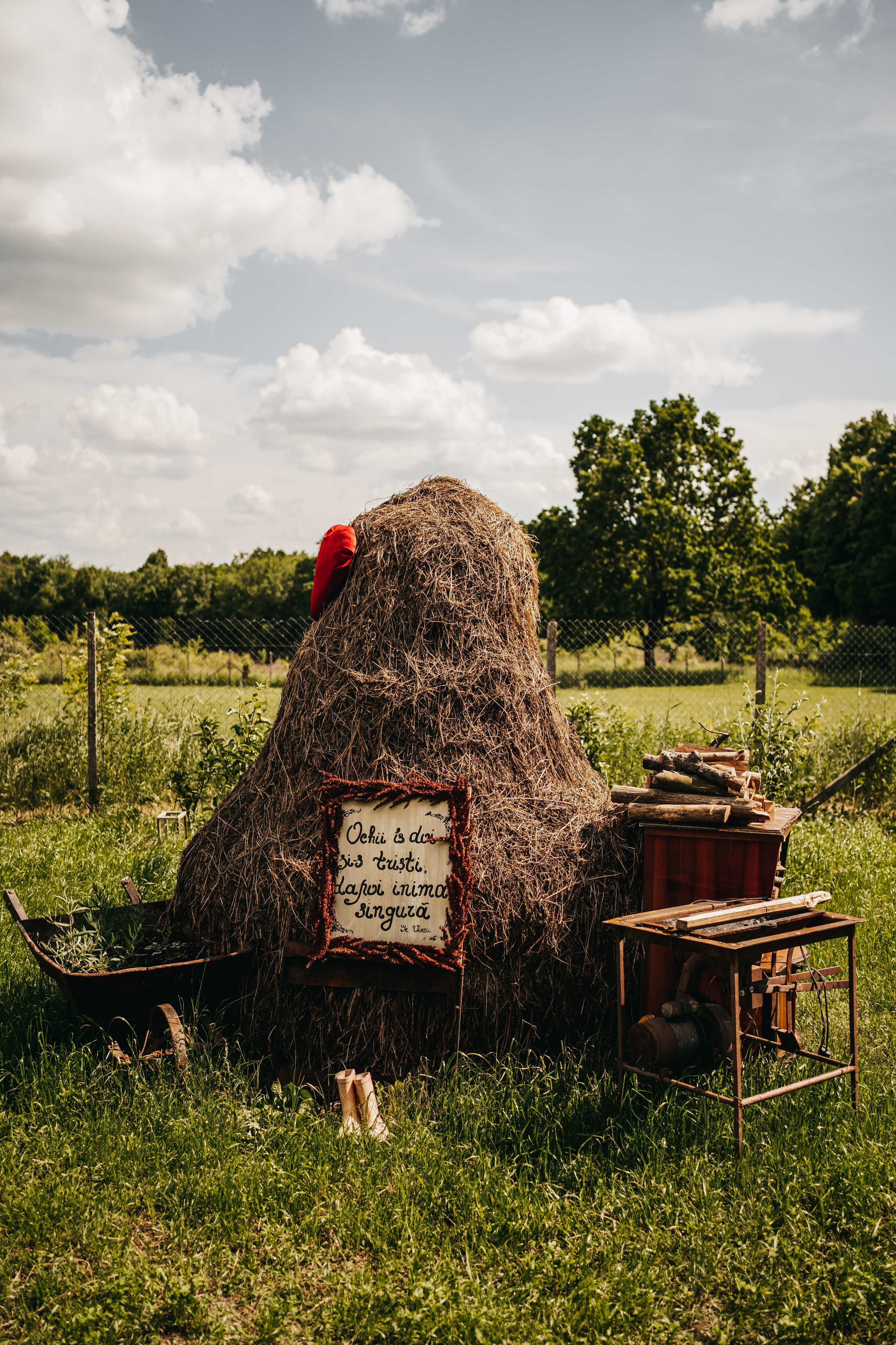 R & D. Fotograf Nunta Iasi - Hearts & Pictures