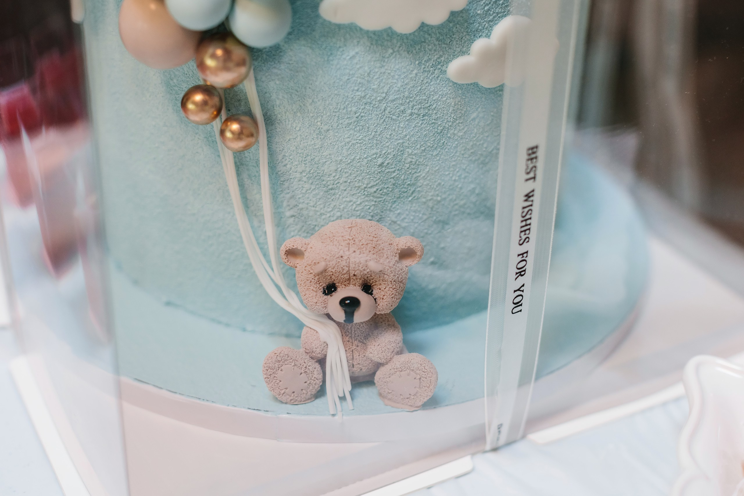 10.01.2022 Baby shower. Wedding family event photographer in Chicago Nick Yushevich