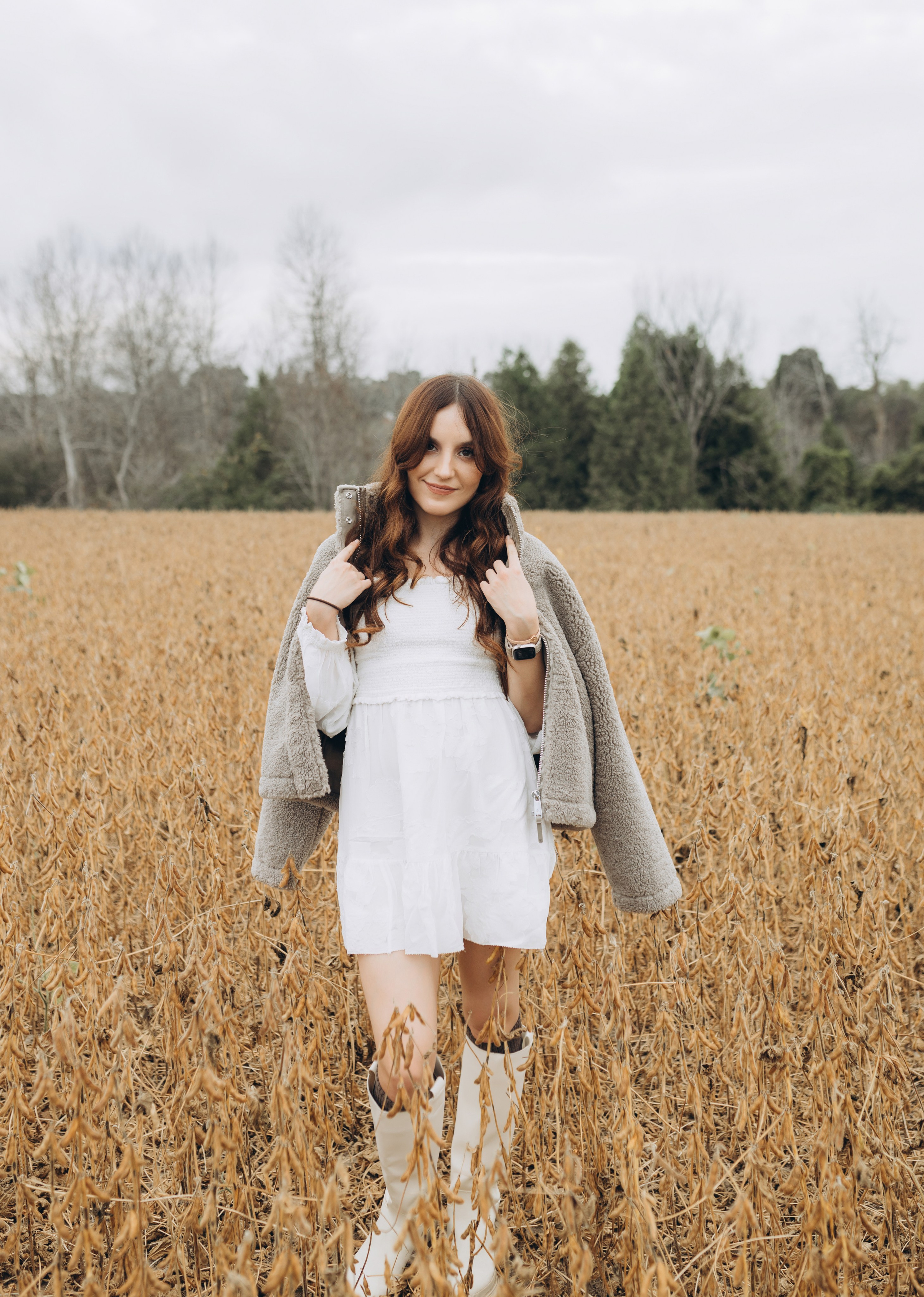 Alpacas Farm. Chernenko.photography