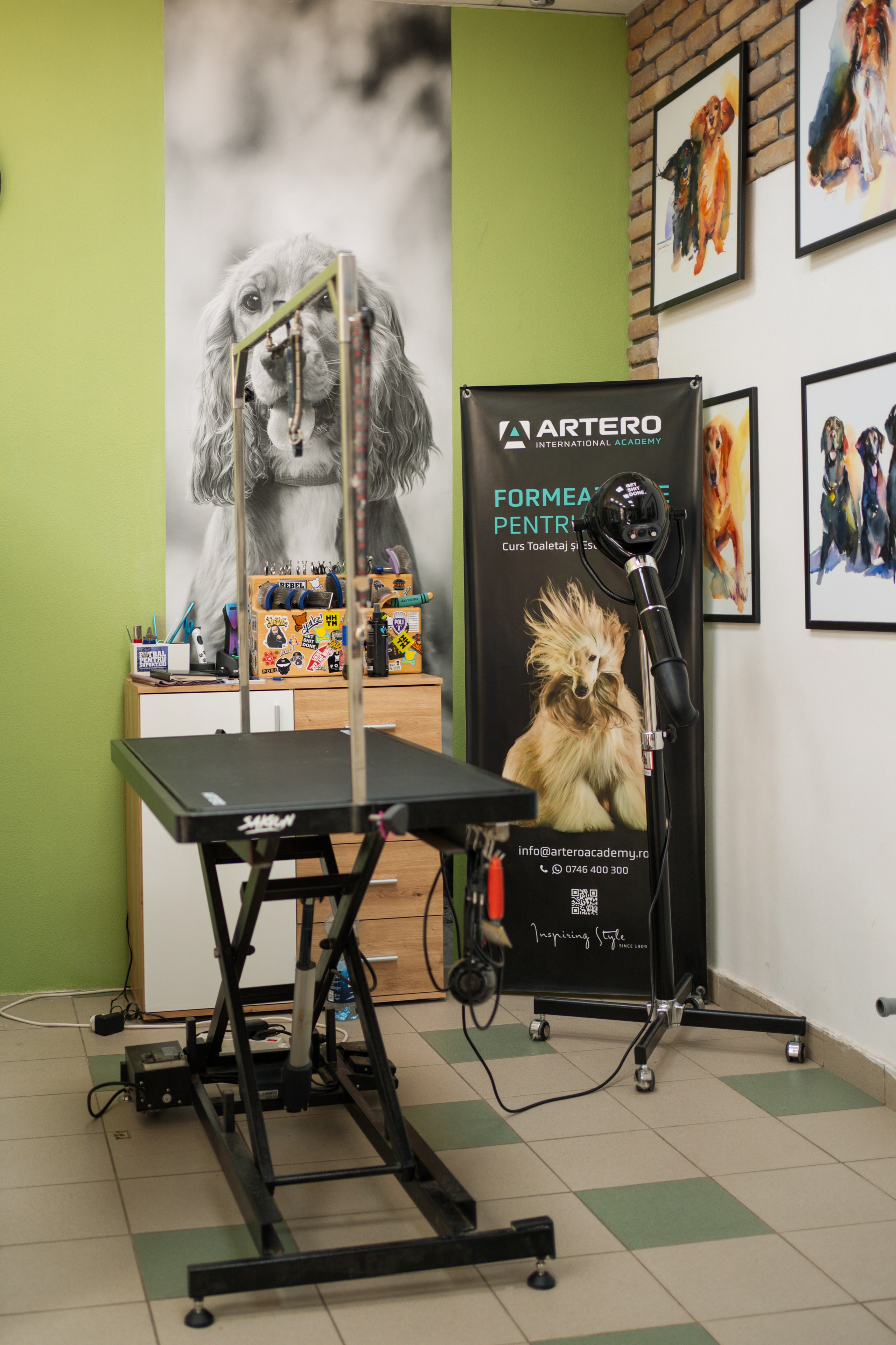 PetGroom Timisoara. Cozac Cristian Photographer