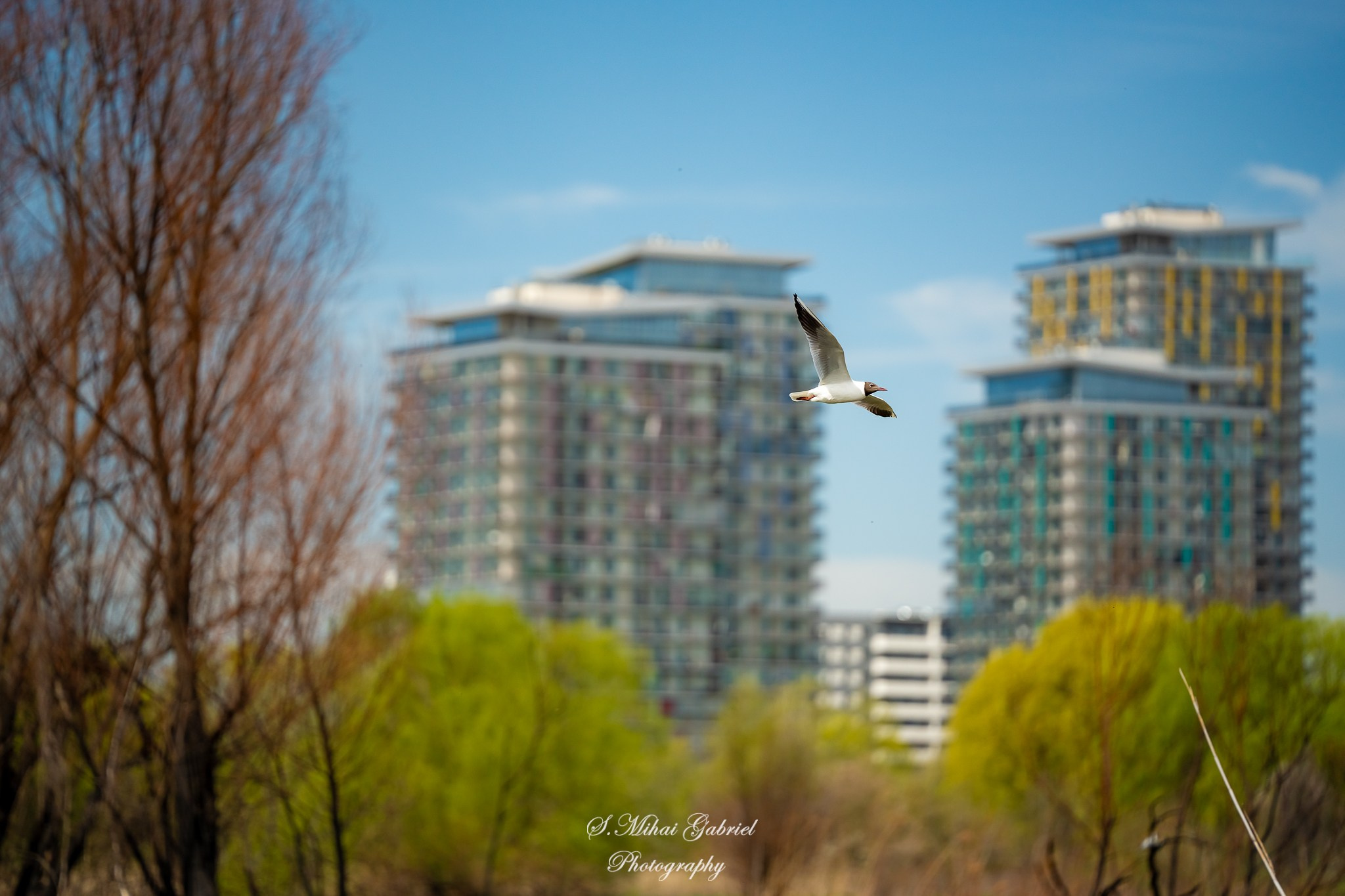 Natura. Foto Studio — Fotograf de evenimente, nunti, botezuri, portrete