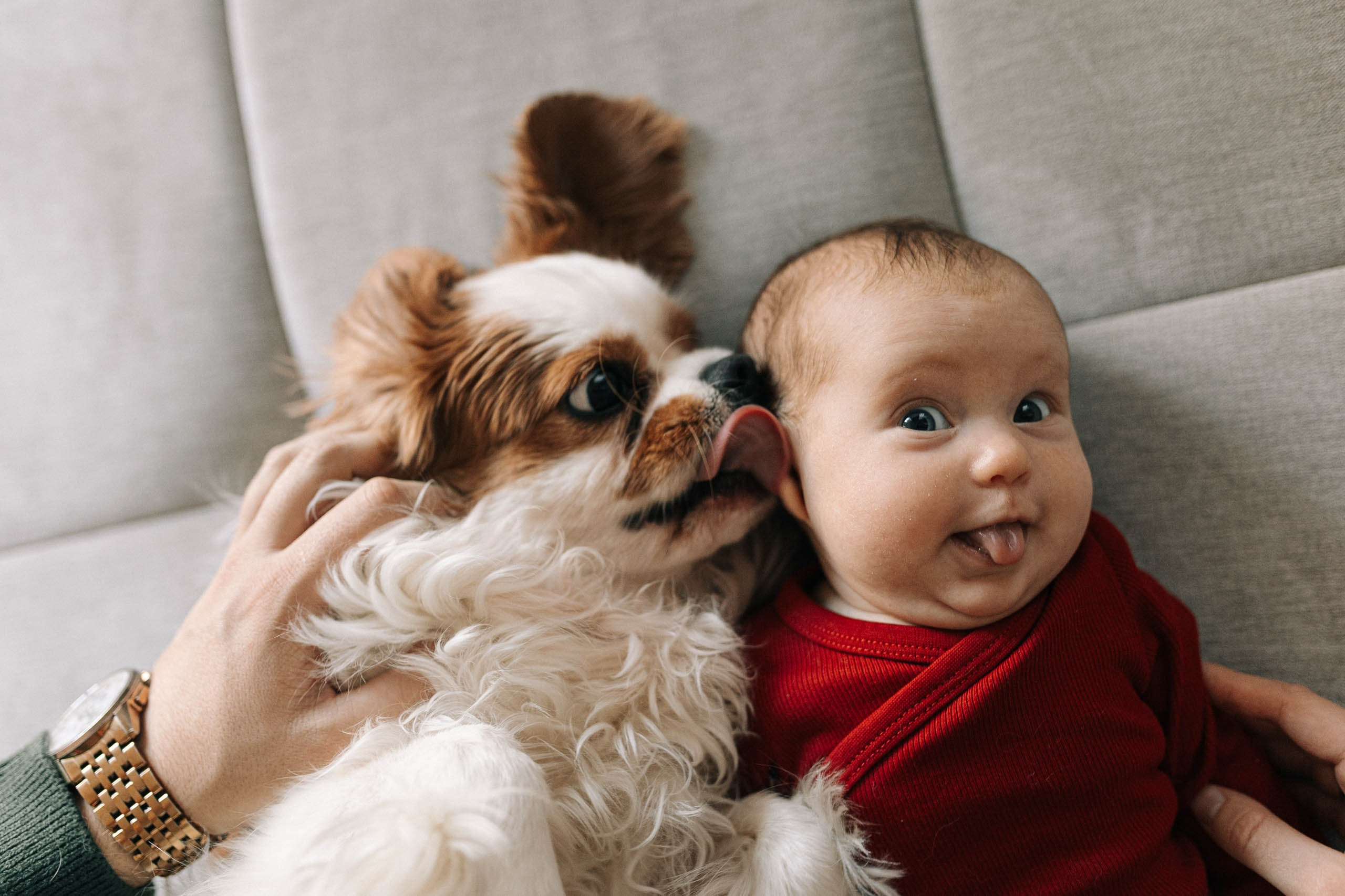 IETEIKUMI ĢIMENES FOTOSESIJAI MĀJĀS