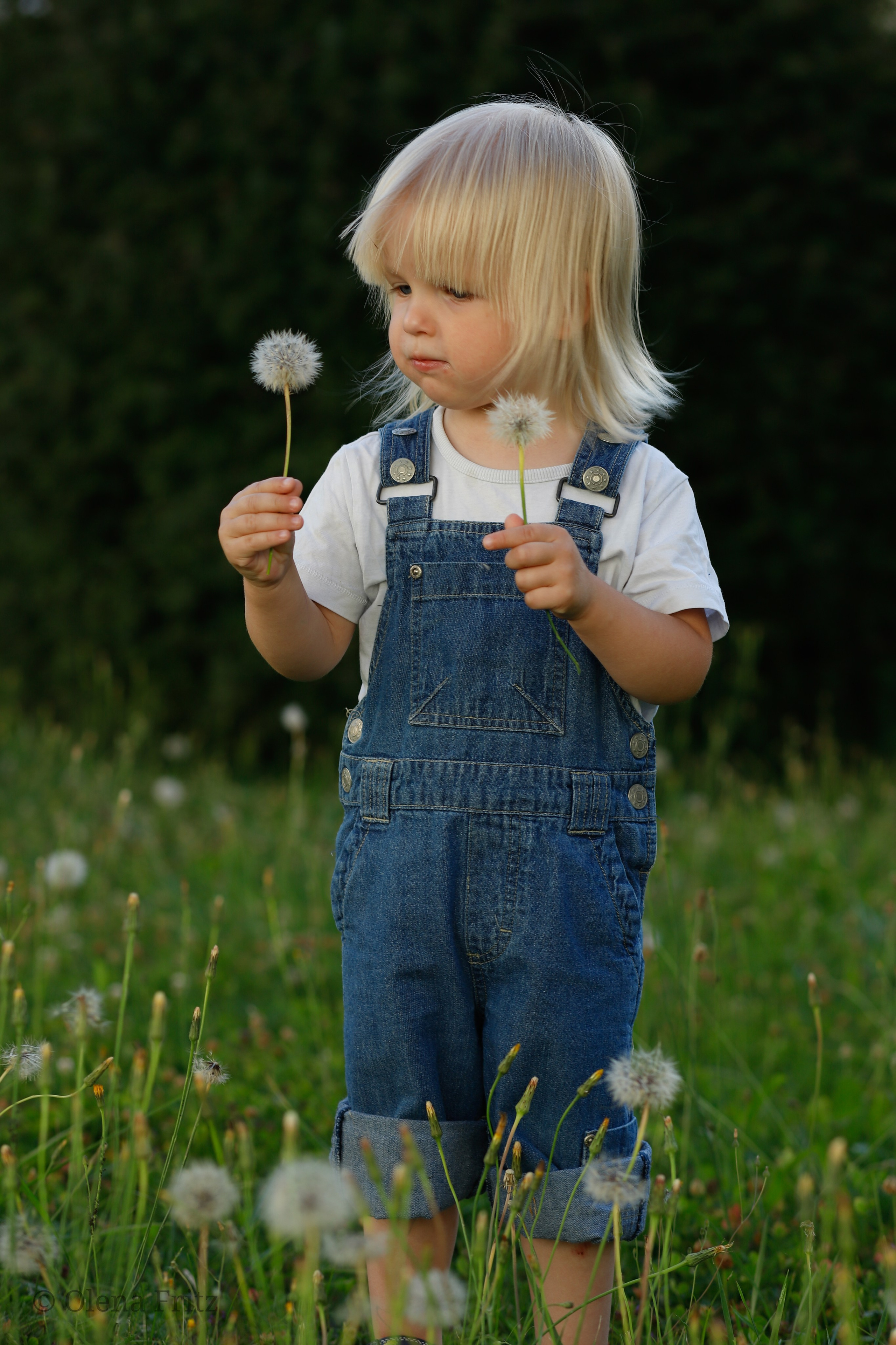 Mädchen im Garten. Olena Fritz Fotografie