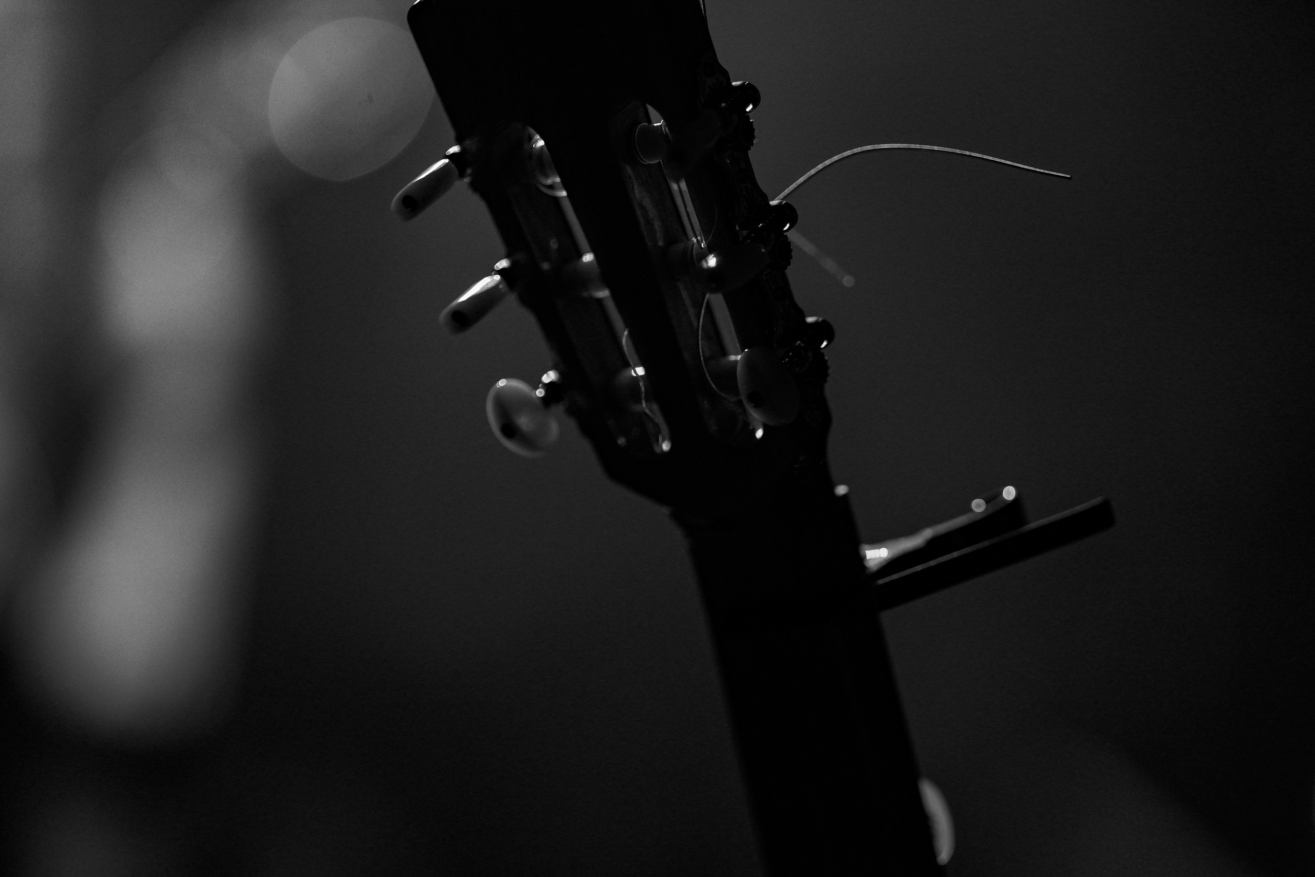 Business. Dmitry Gorodetsky Event Photographer