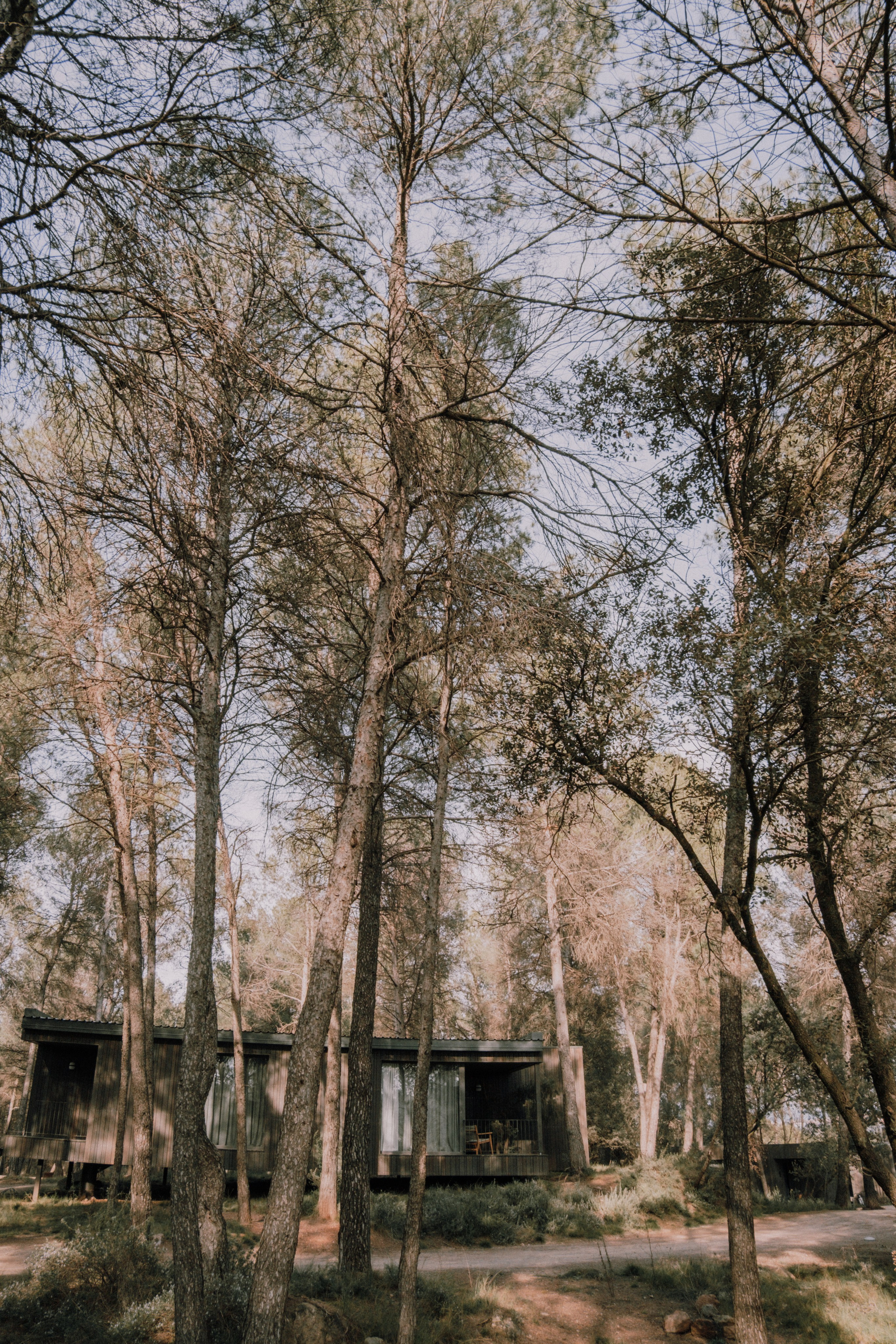 Sesión familiar en el bosque. Fotografía profesional en Calafell - Elena Medvedeva