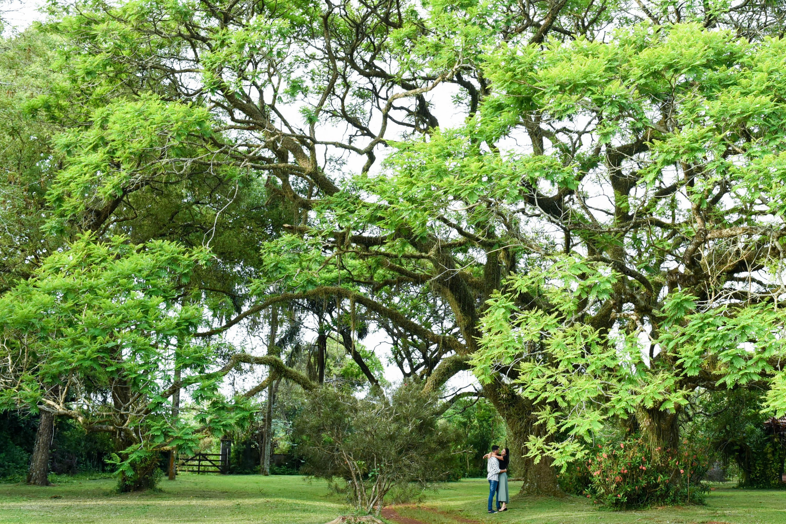 Maru & Dario. Fotografo de casamiento en misiones y fotógrafo de familia  Posadas