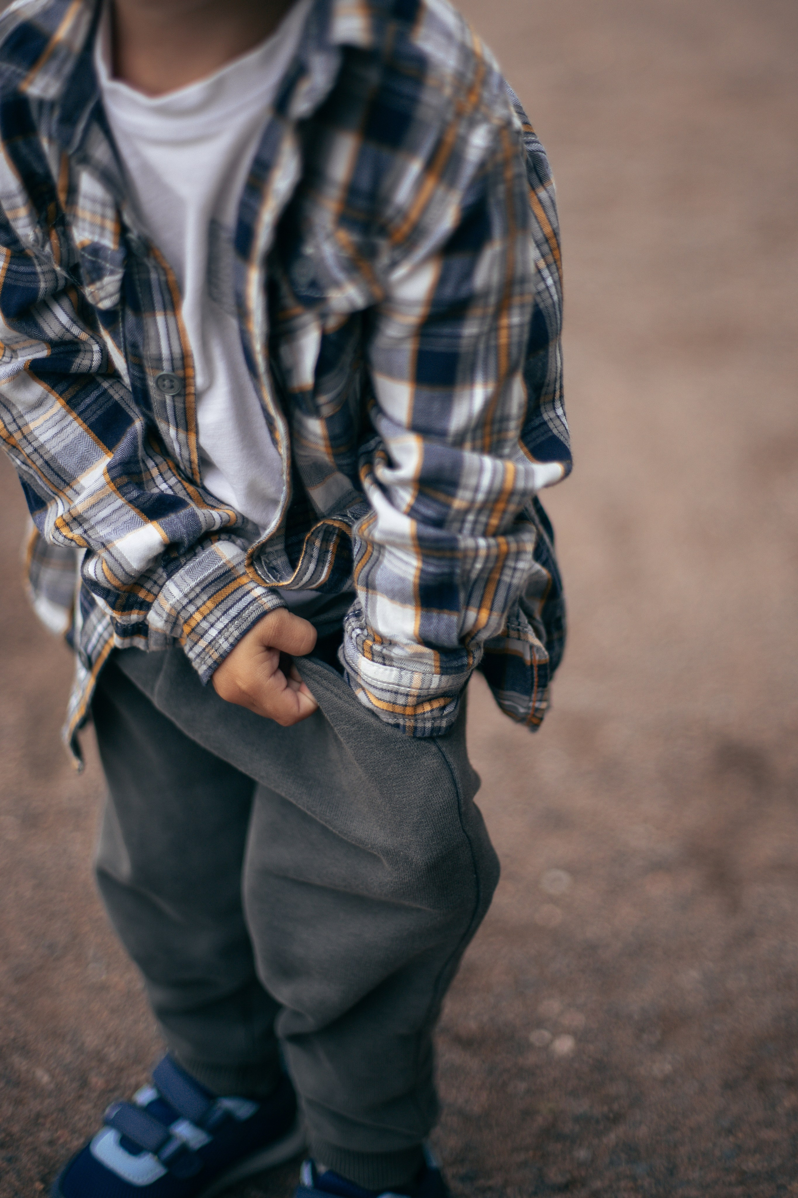 Прогулка в парке. Главная