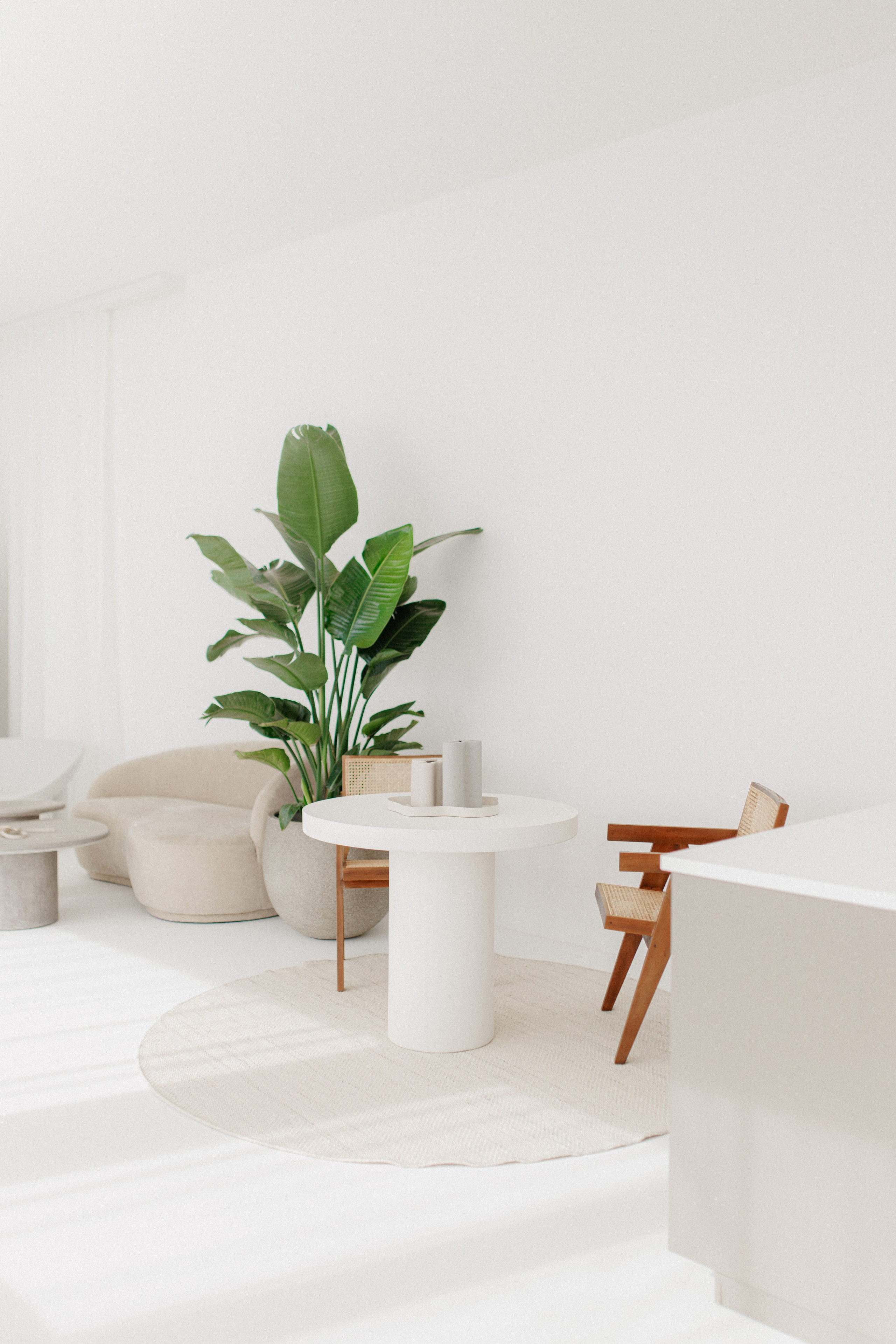 Book your Daylight Photo Studio in Uster now and create content with character!. Wedding and Family Photographer Switzerland and Italy. Valeria Diaz