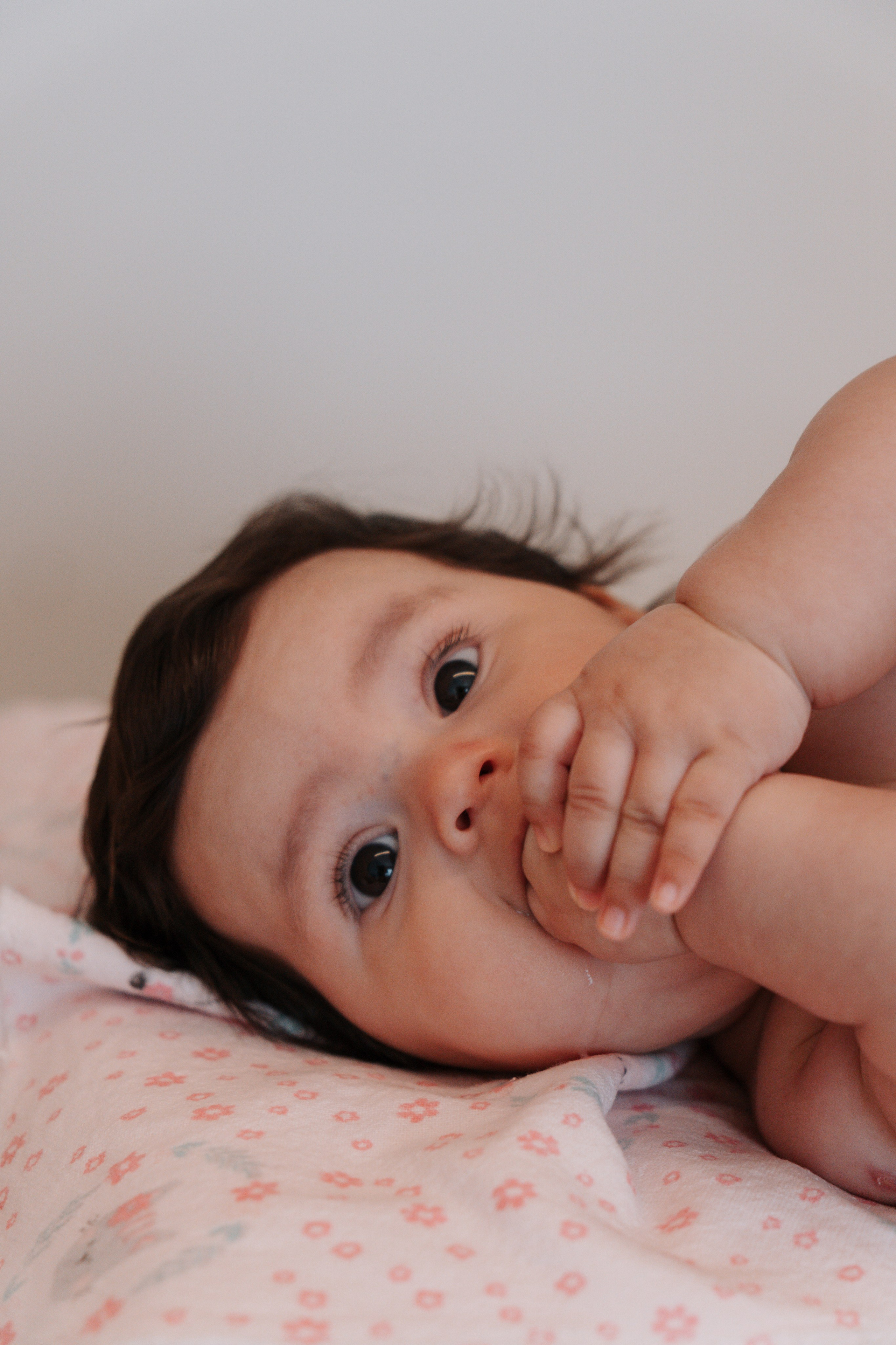 Violetinha - Prévias. Oh My Click - Filmes e Fotografia de Partos & Família