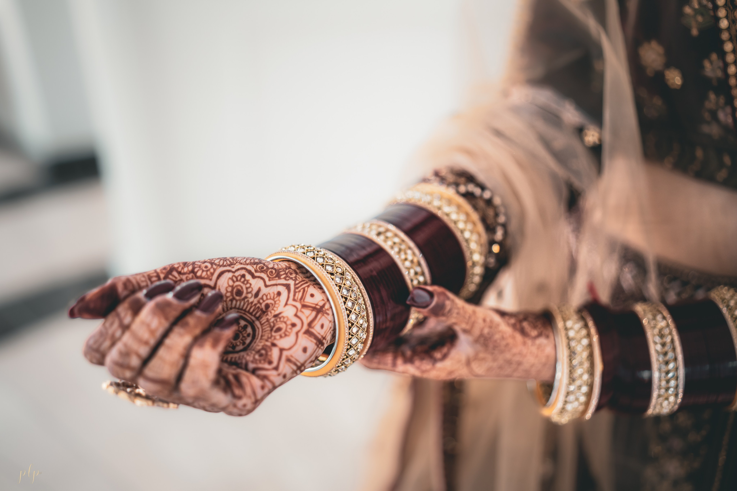 Kashish & Andrew. Wedding Photographers and Filmmakers