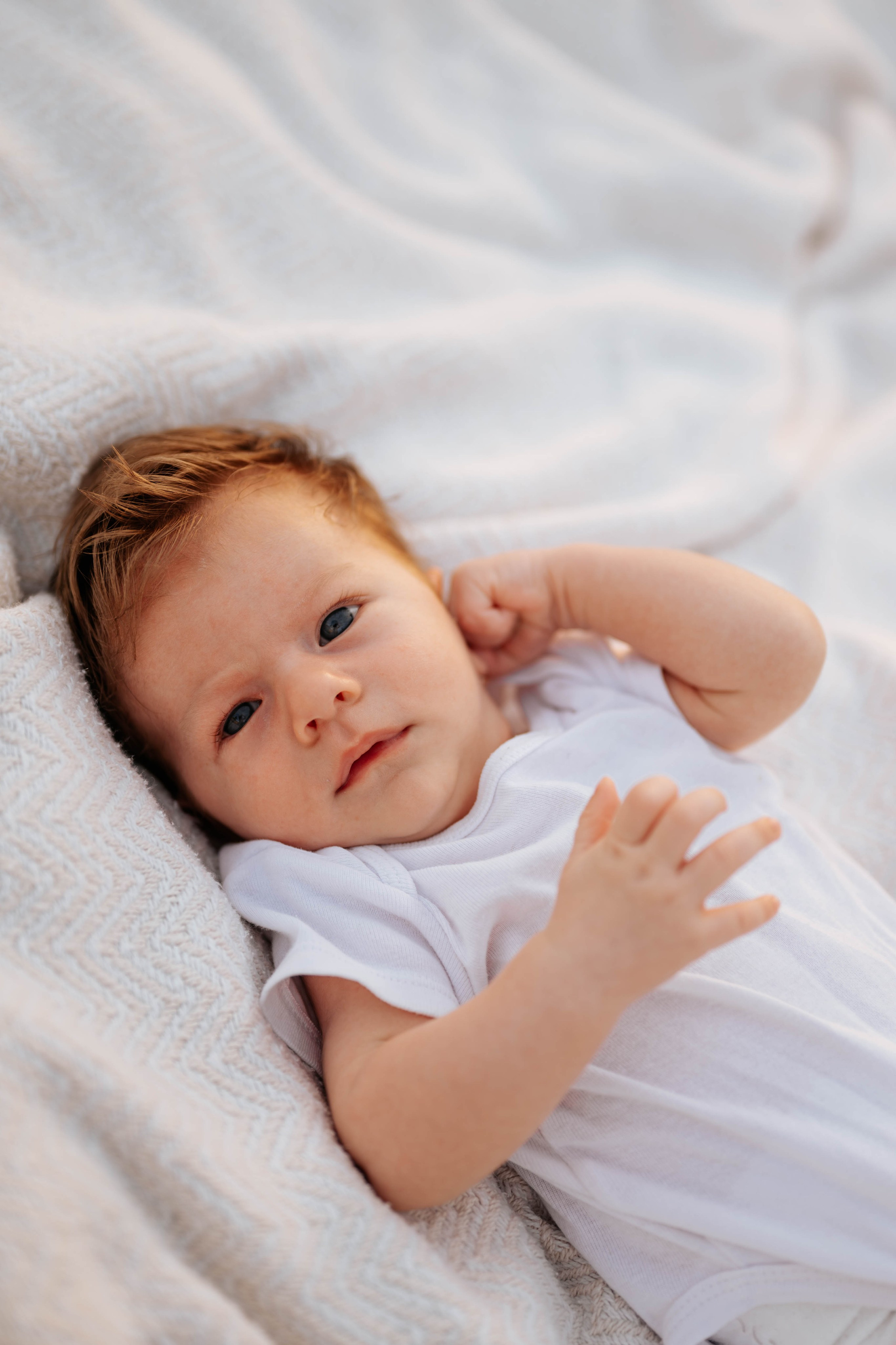 Mirjana, Nikola, Nađa i Filip - porodično fotografisanje. Dečiji i porodični fotograf