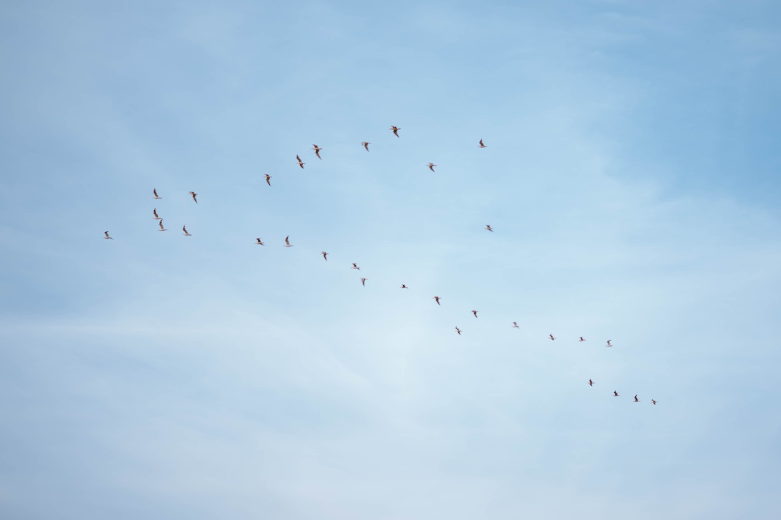 Ceca, Đole i Sofija - porodično fotografisanje. Dečiji i porodični fotograf