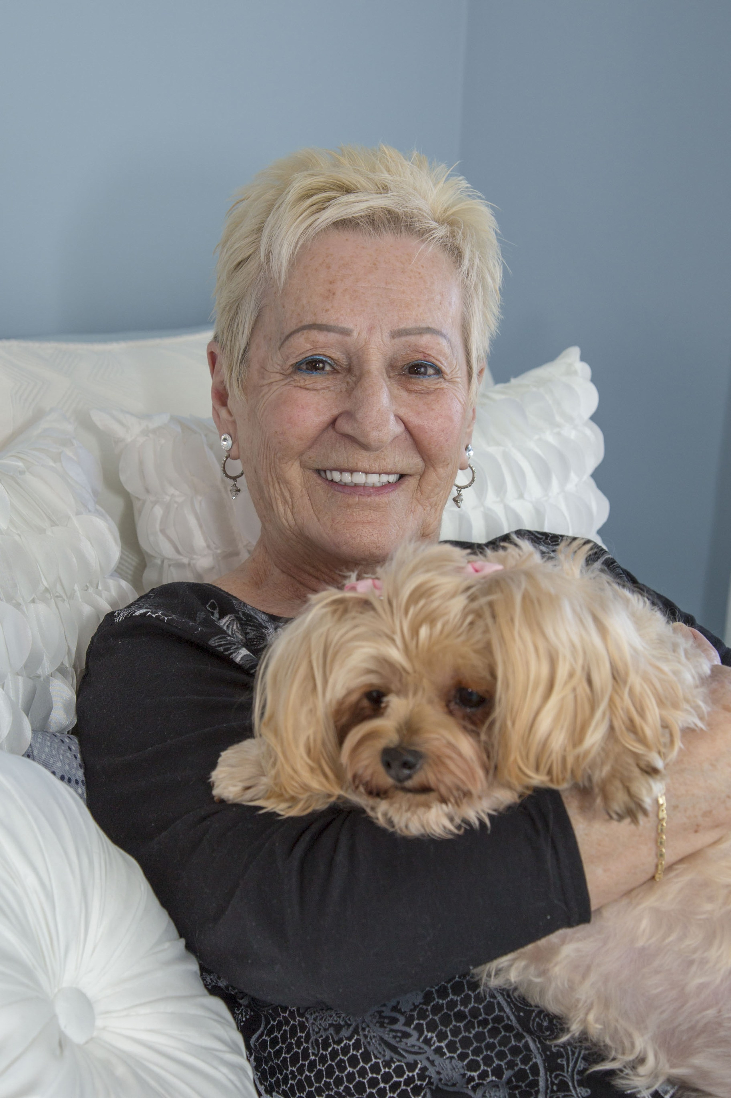 Animal de Compagnie. Studioplaza8