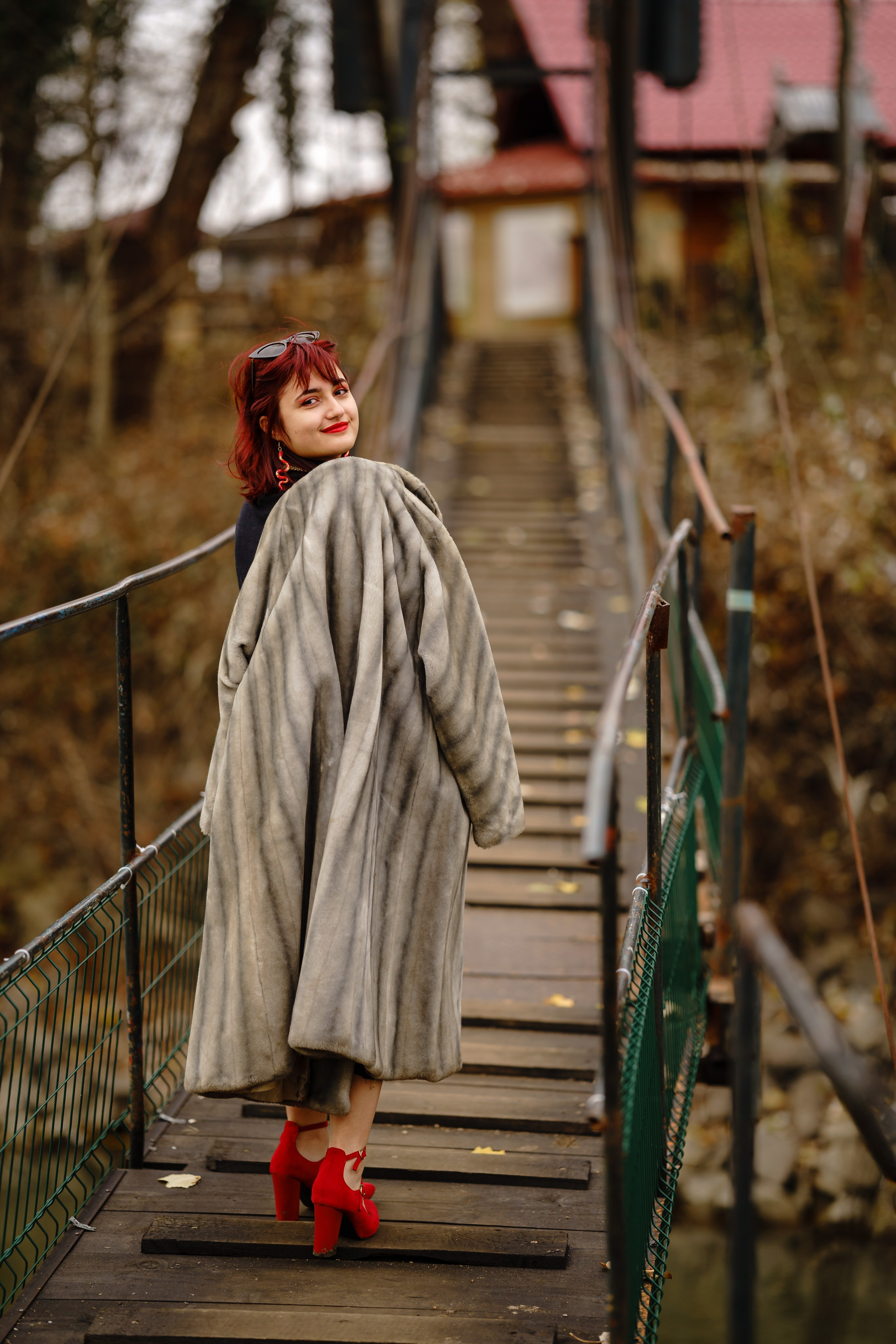 Padurea Ceala Gratuit. Trendy Albums