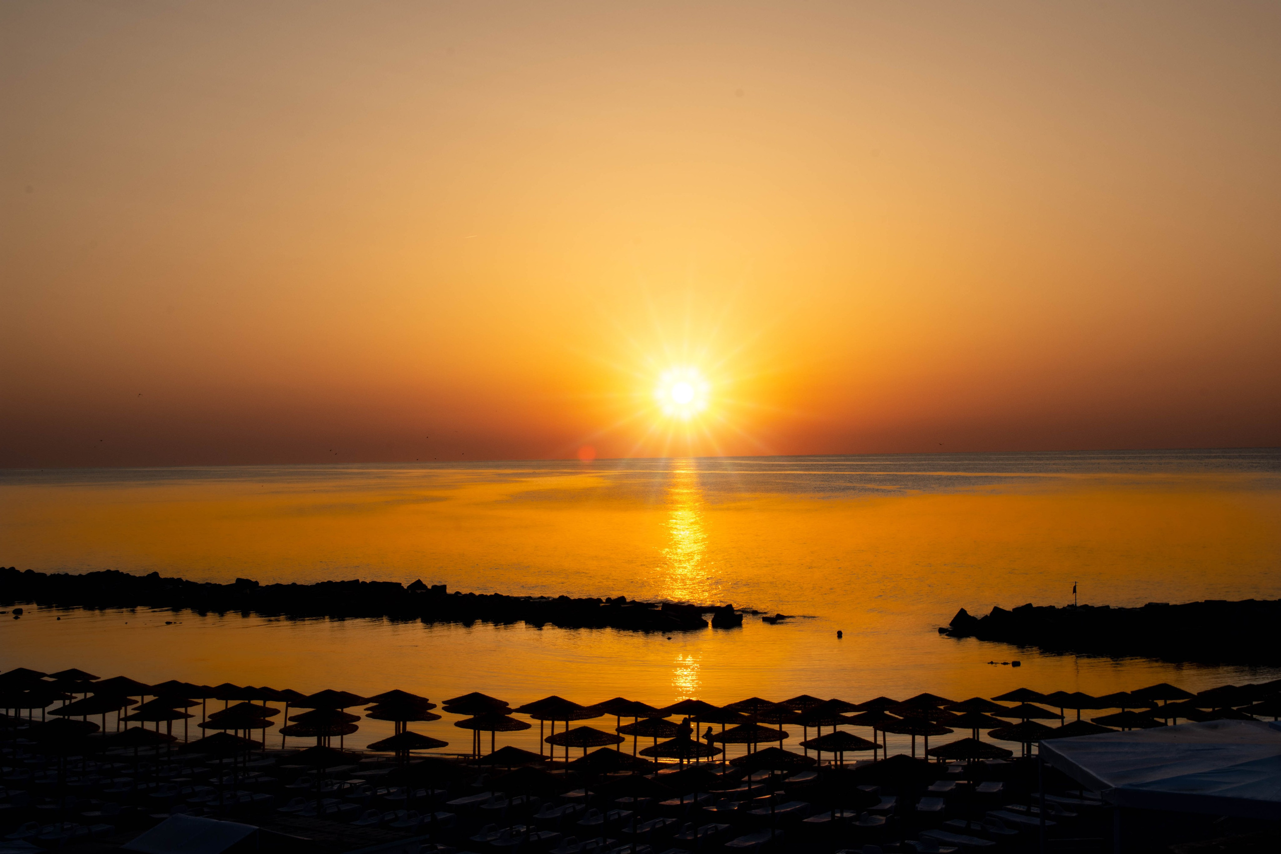 Călătorie. Daniel Hașiegan