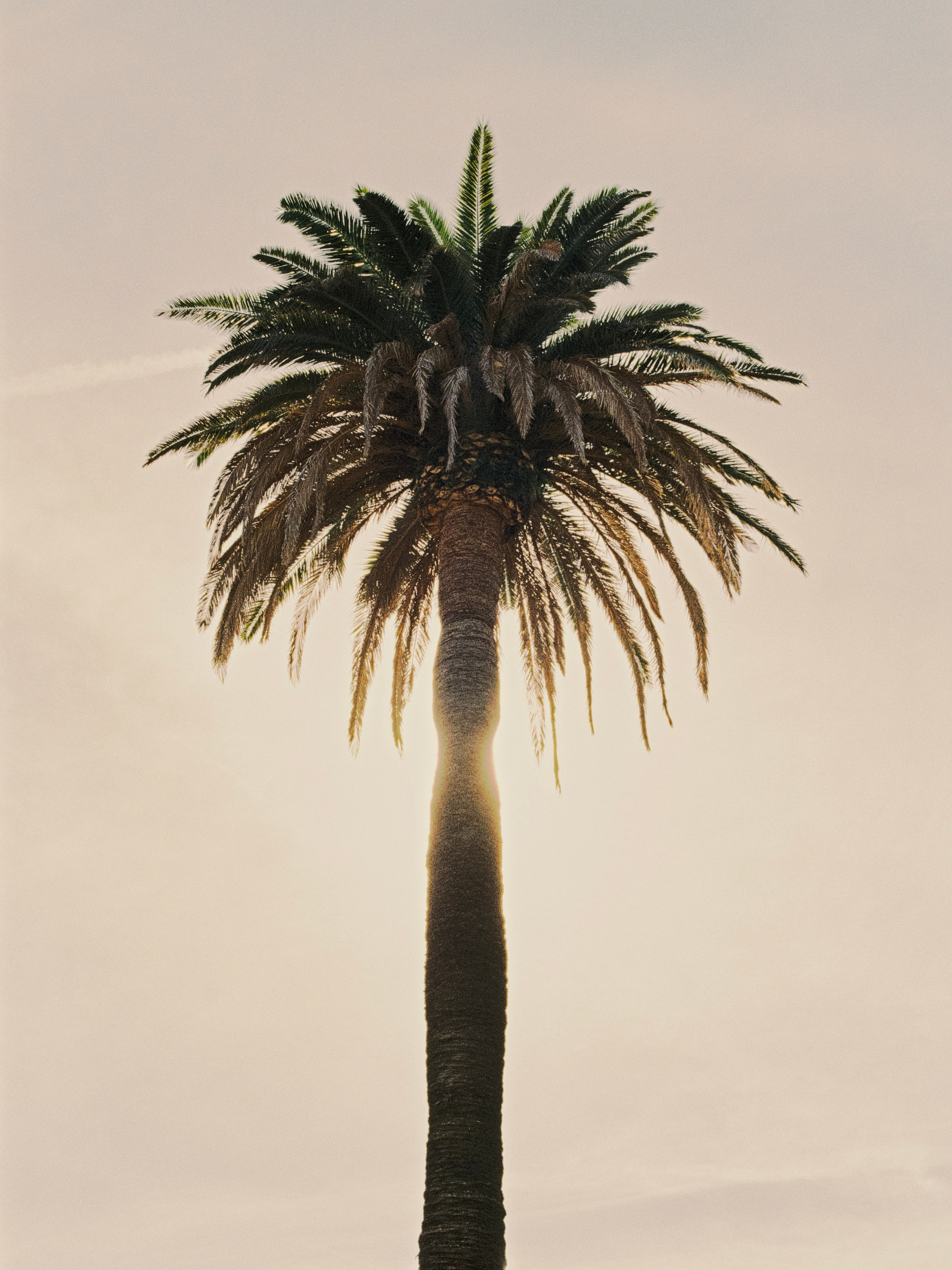 Wanderlust / Film photos. Fotografia personalna i fashion dla marek i agencji modelingowych. Warszawa, Europa. Yaroslav Storchak