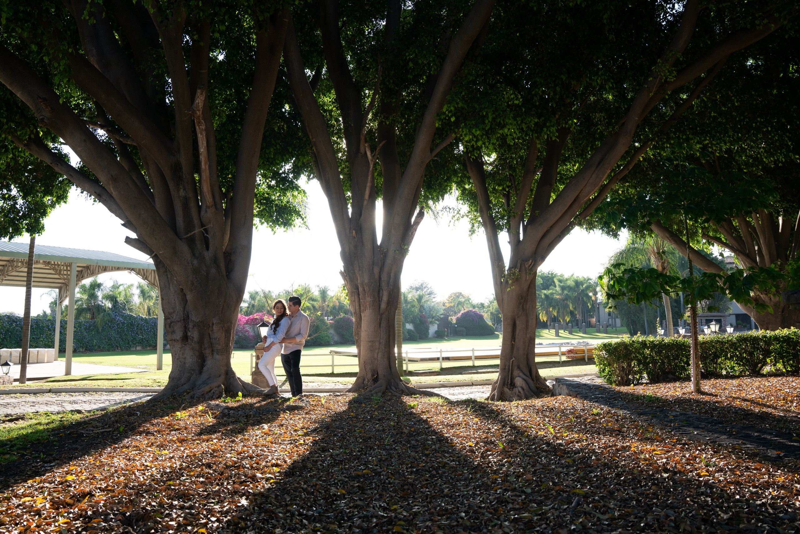 Elopement & Lifestyle Wedding Documentary Photographer