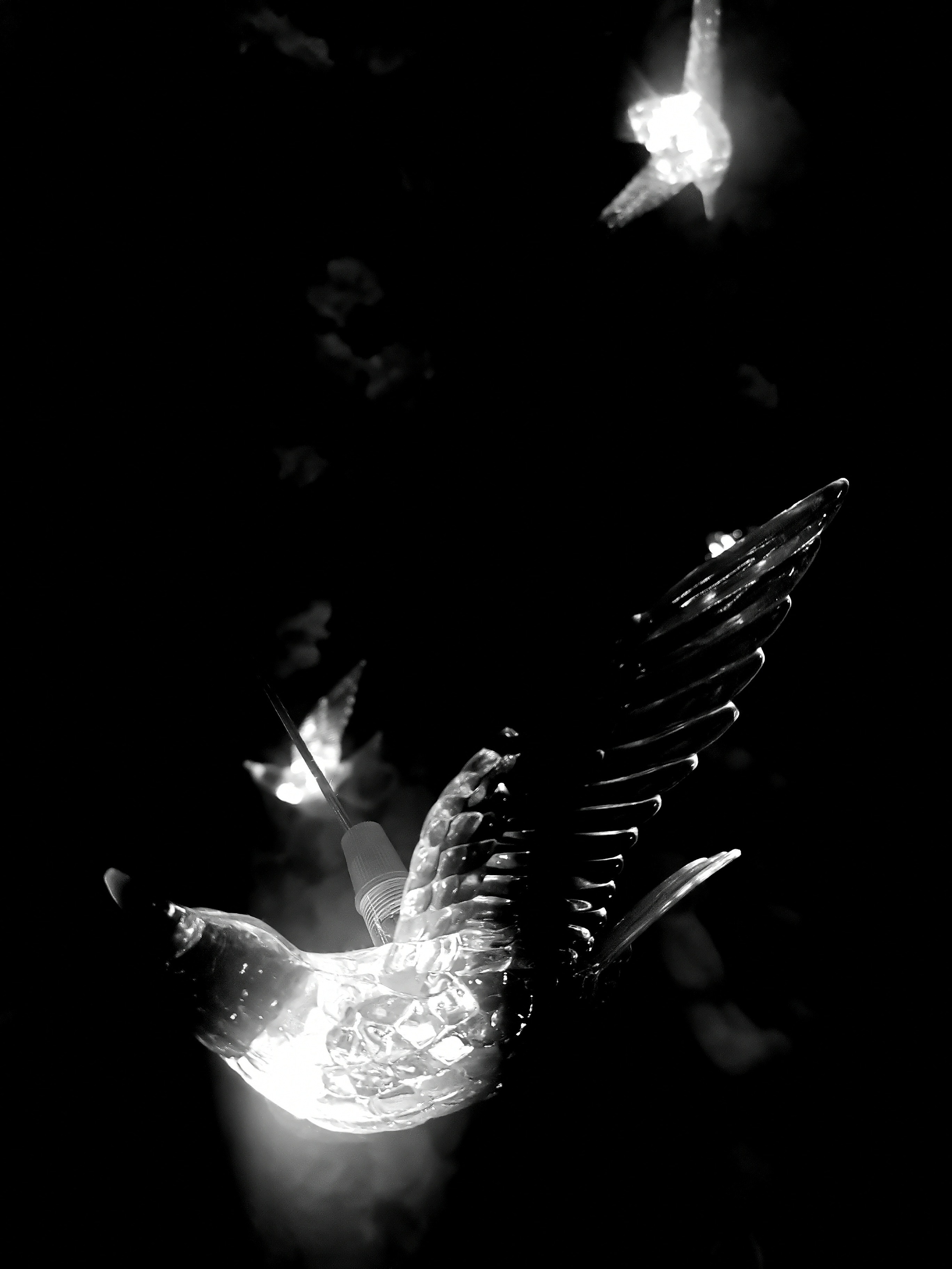 Impact Photo Collecton. Professional Artist, teacher of art, Artistic Photographer In Dubai (U