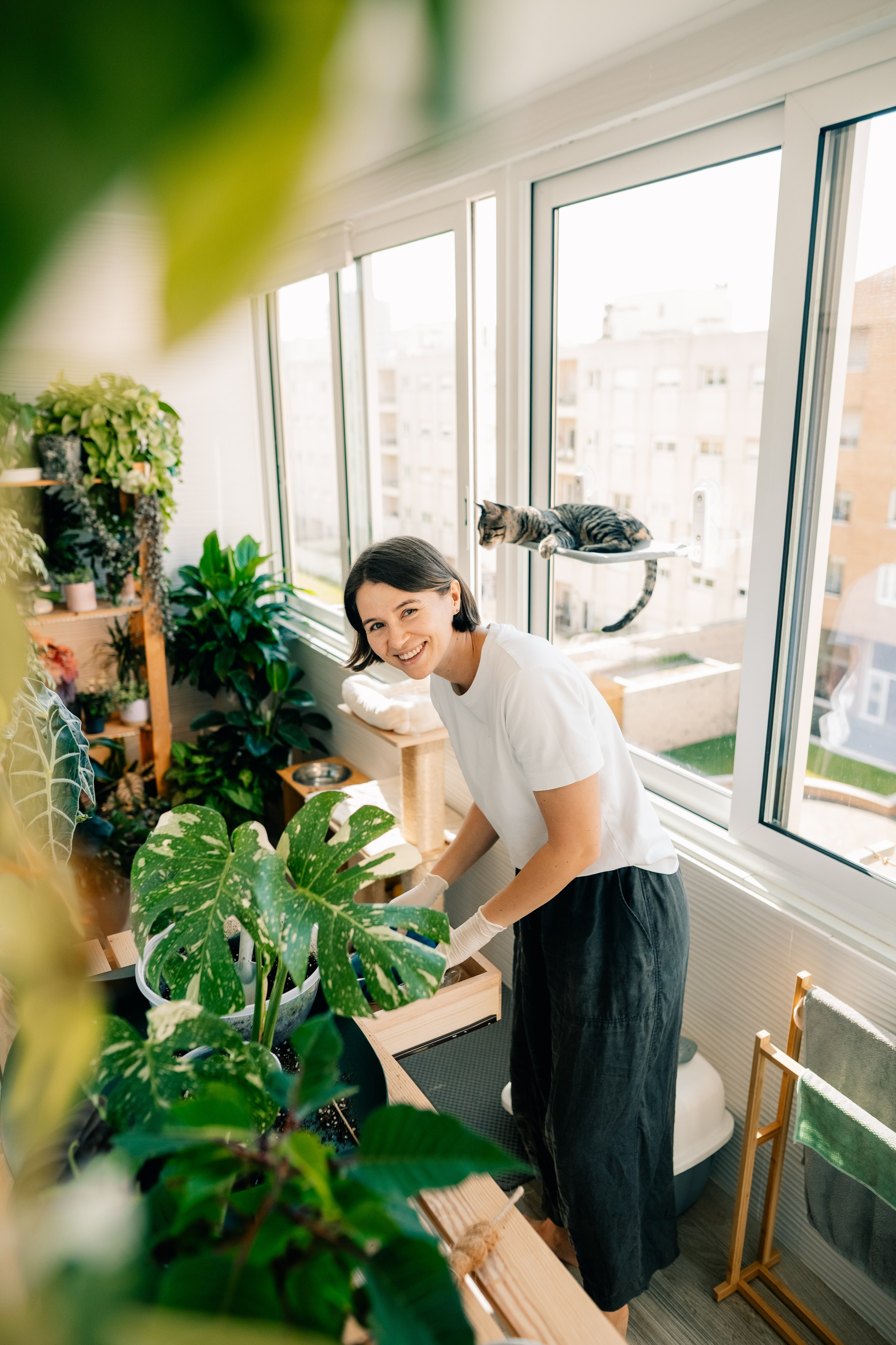 No Drama Plants. Maria Sher. Fotógrafa profissional do Porto, Portugal