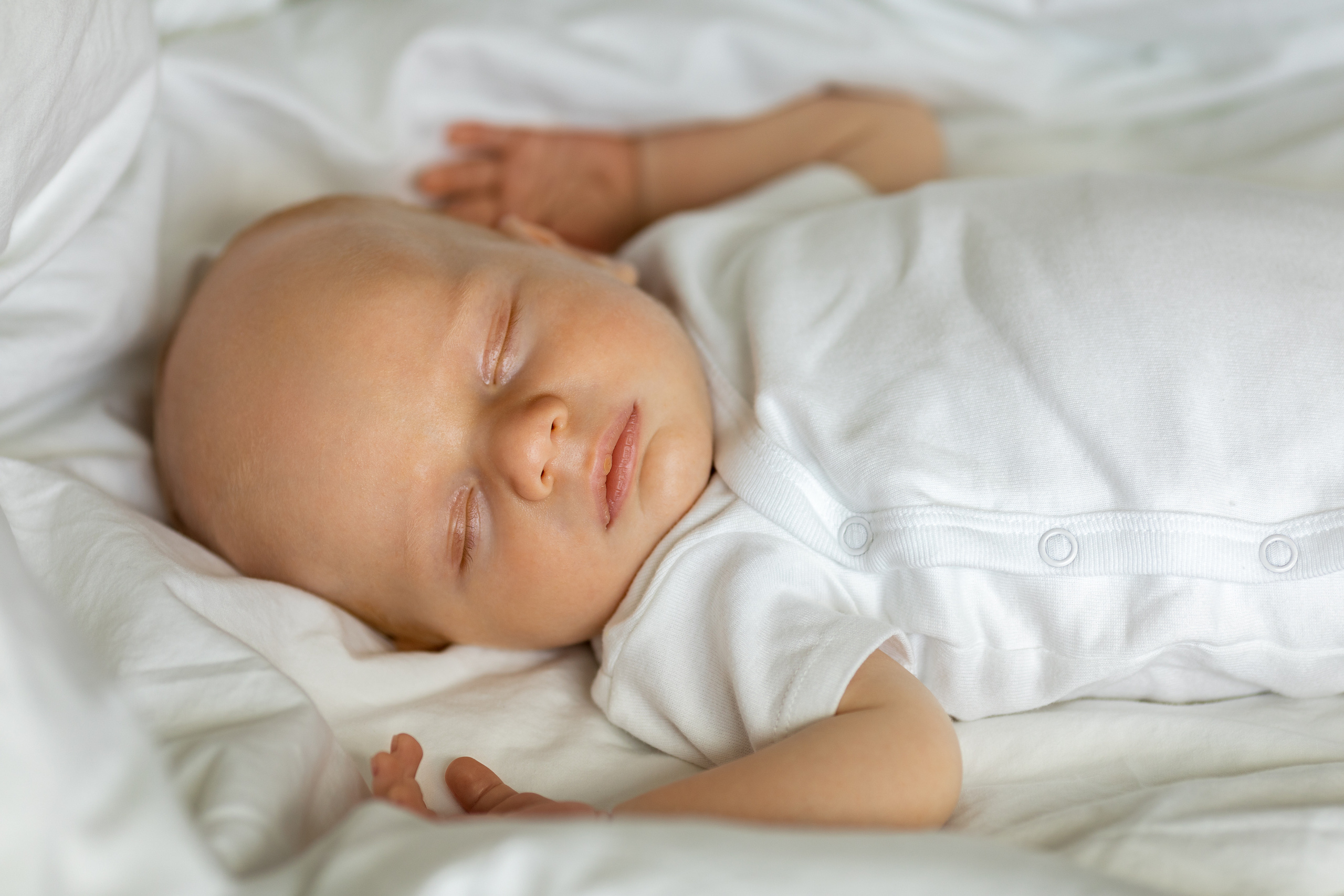 Family. Lana Krichev family photographer in South Florida