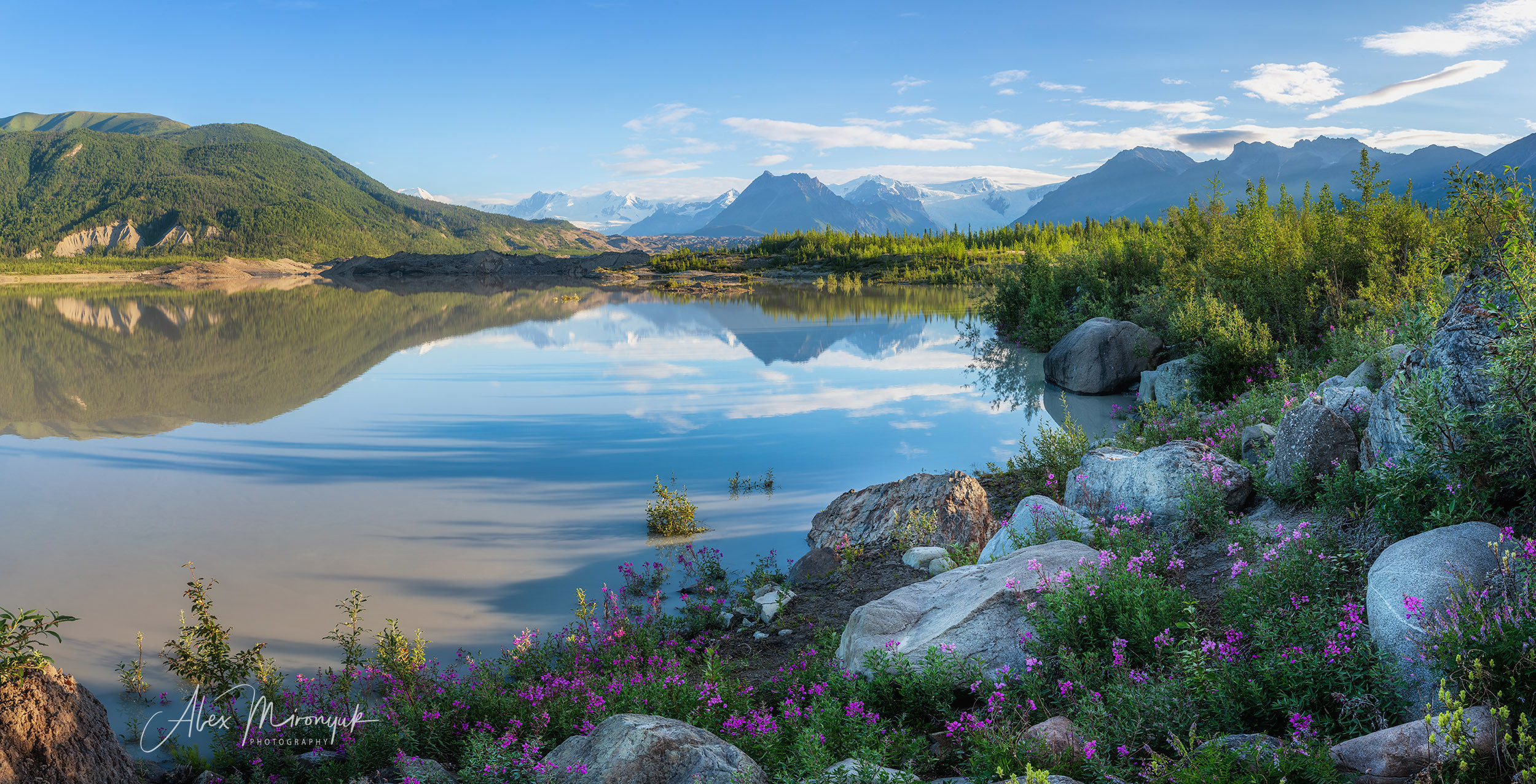 Alaska. Pet, Senior, Landscape, portrait studio, photographer in Miami and Sou