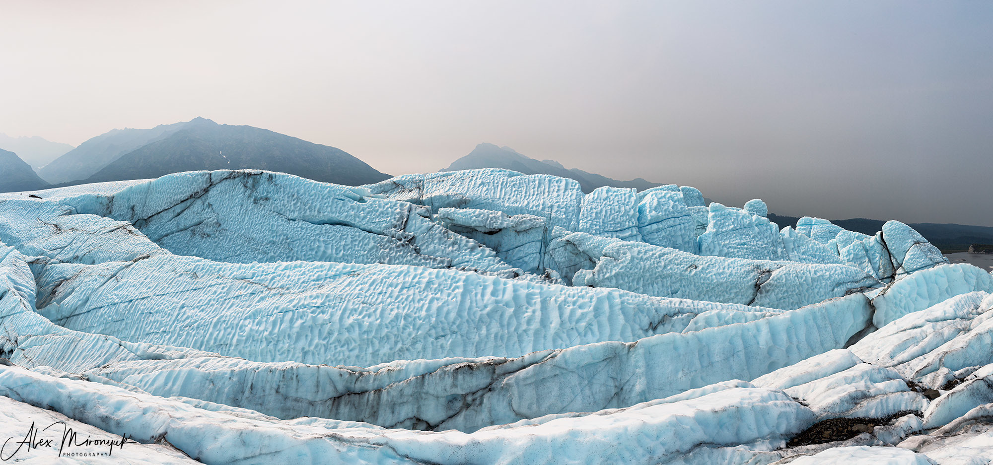 Alaska. Pet, Senior, Landscape, portrait studio, photographer in Miami and Sou