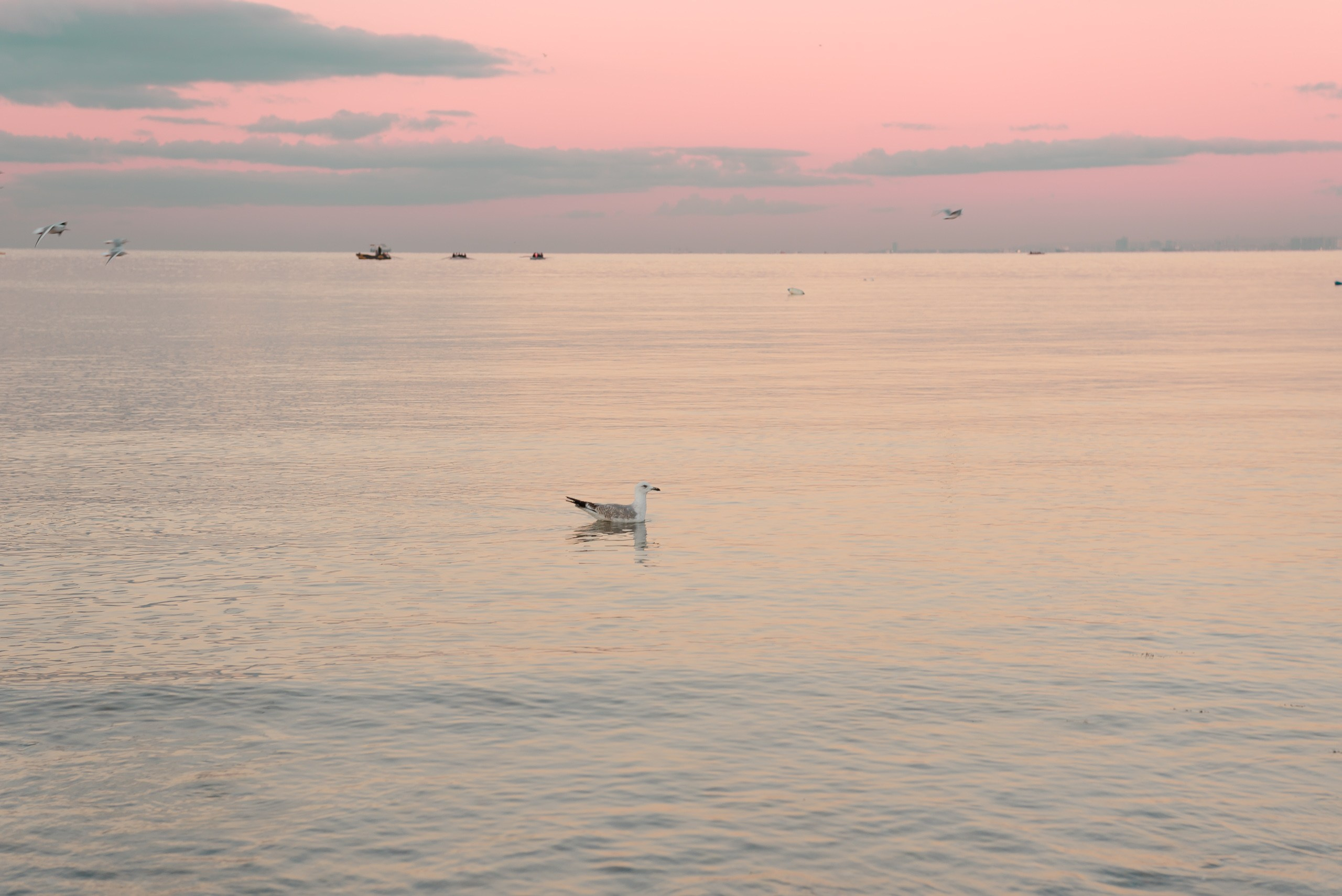 Sesiones de fotos de maternidad y familia de lujo in Estanbul!. MARIA VALUEVA Fotógrafo en Niza, Cannes, Monaco, Francia, Europe, Estambul, Turquía