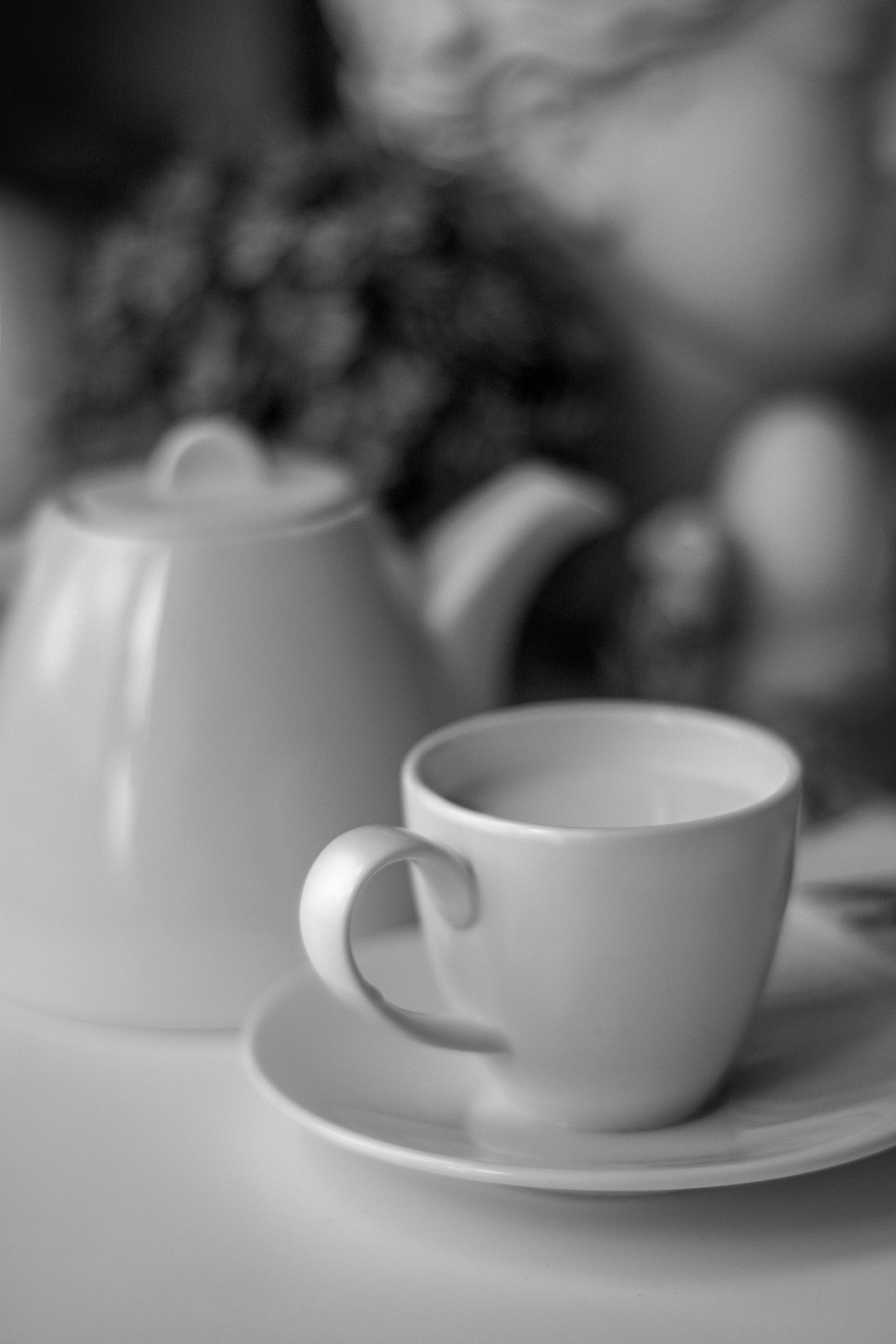 Still life photography. Portrait and still life photographer. Designer, photographer, and illustrator