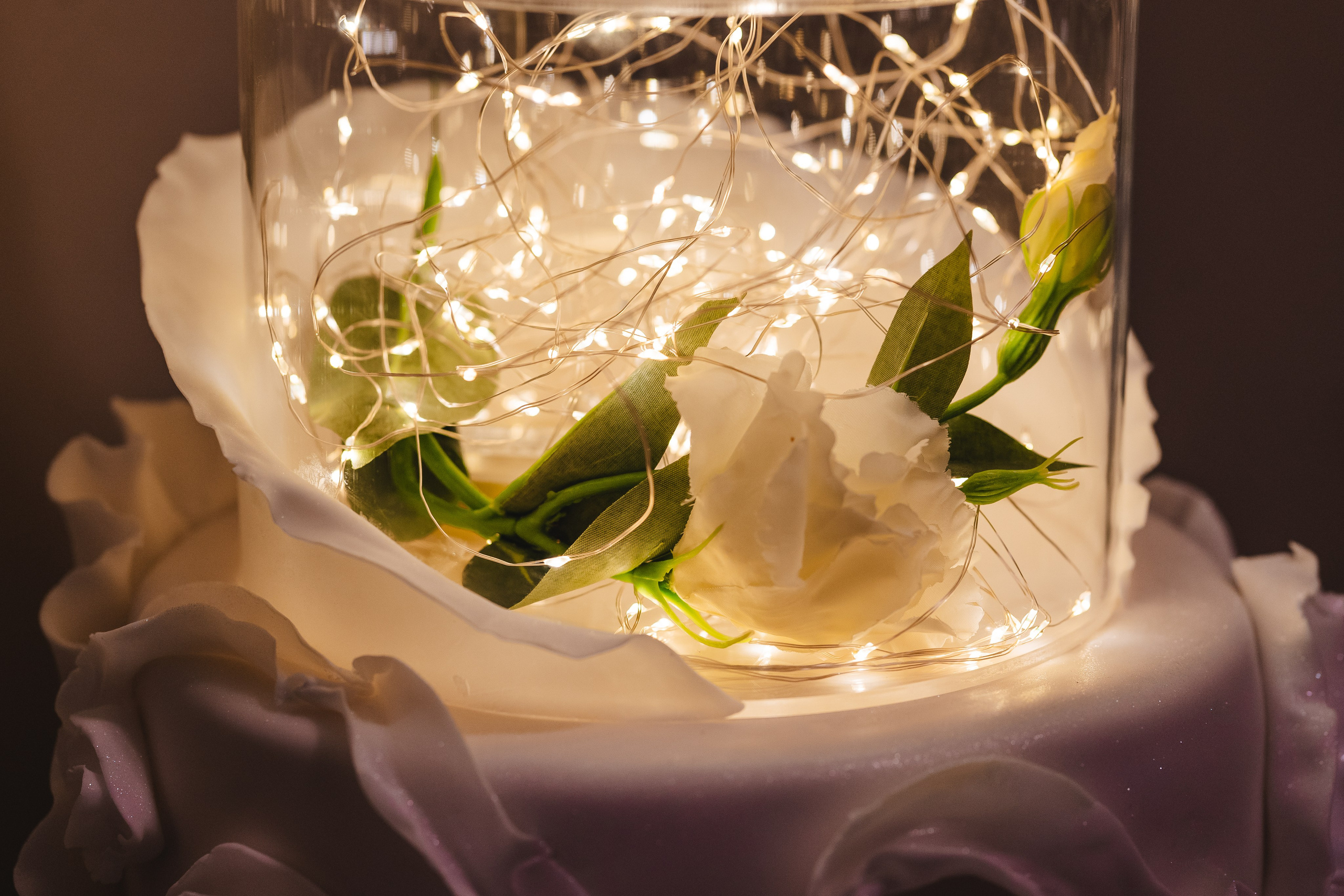 S&D. Montenegro photographer and videographer