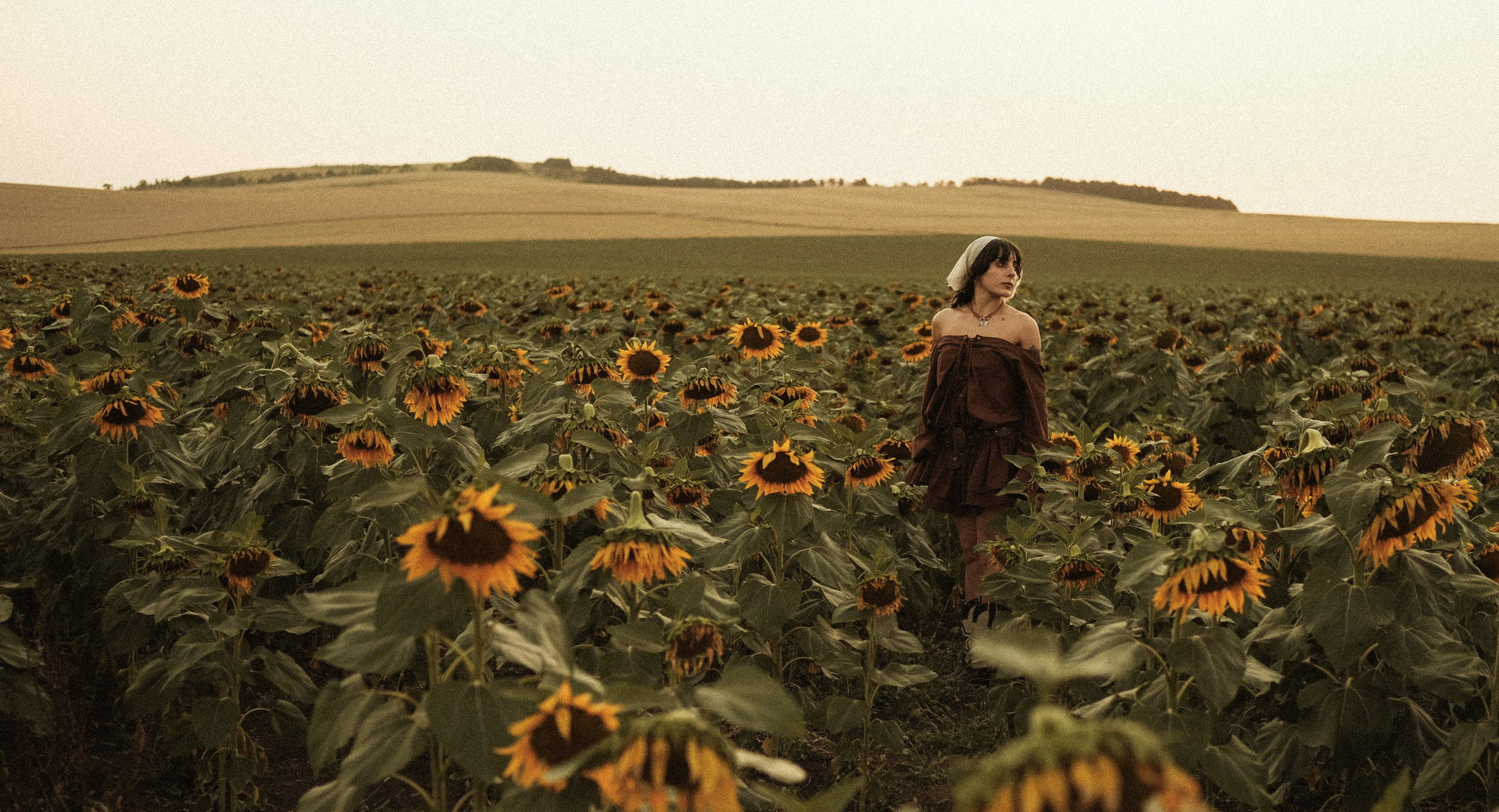 In sunflowers | Meri. Главная