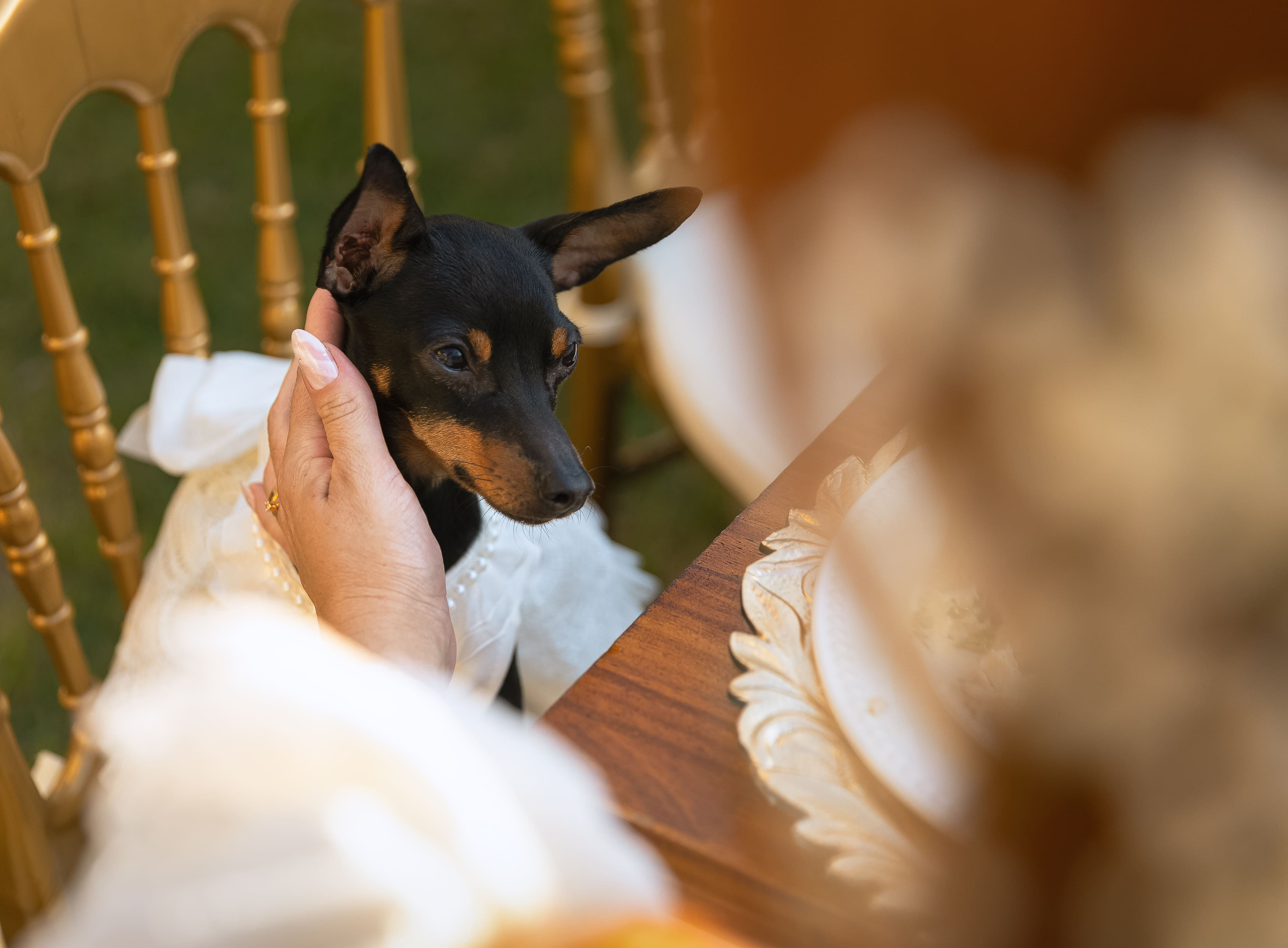 Fotografo de casamento. Fotógrafa em são paulo — Fotos Autênticas