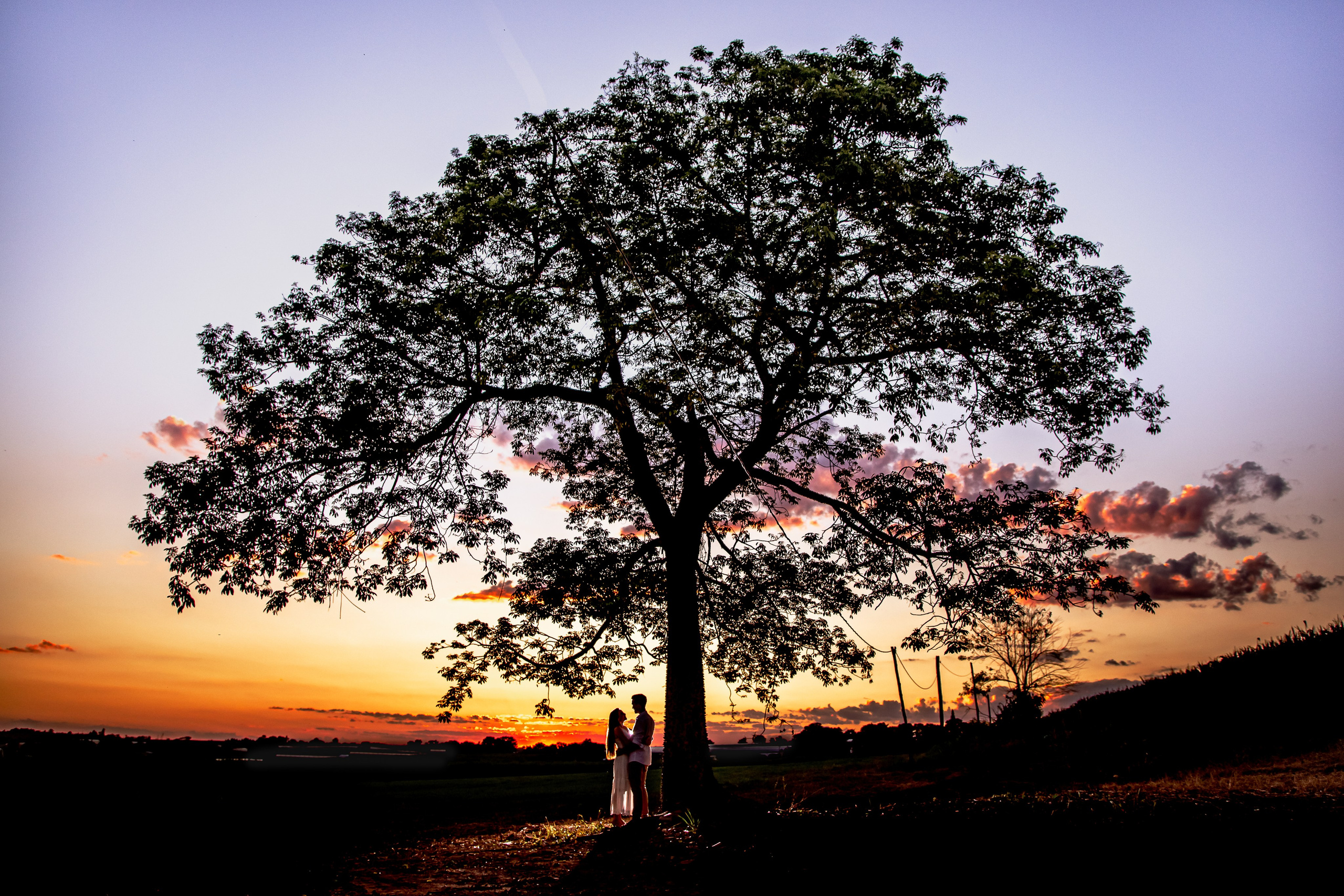 Ensaio Holambra. Tela cheia