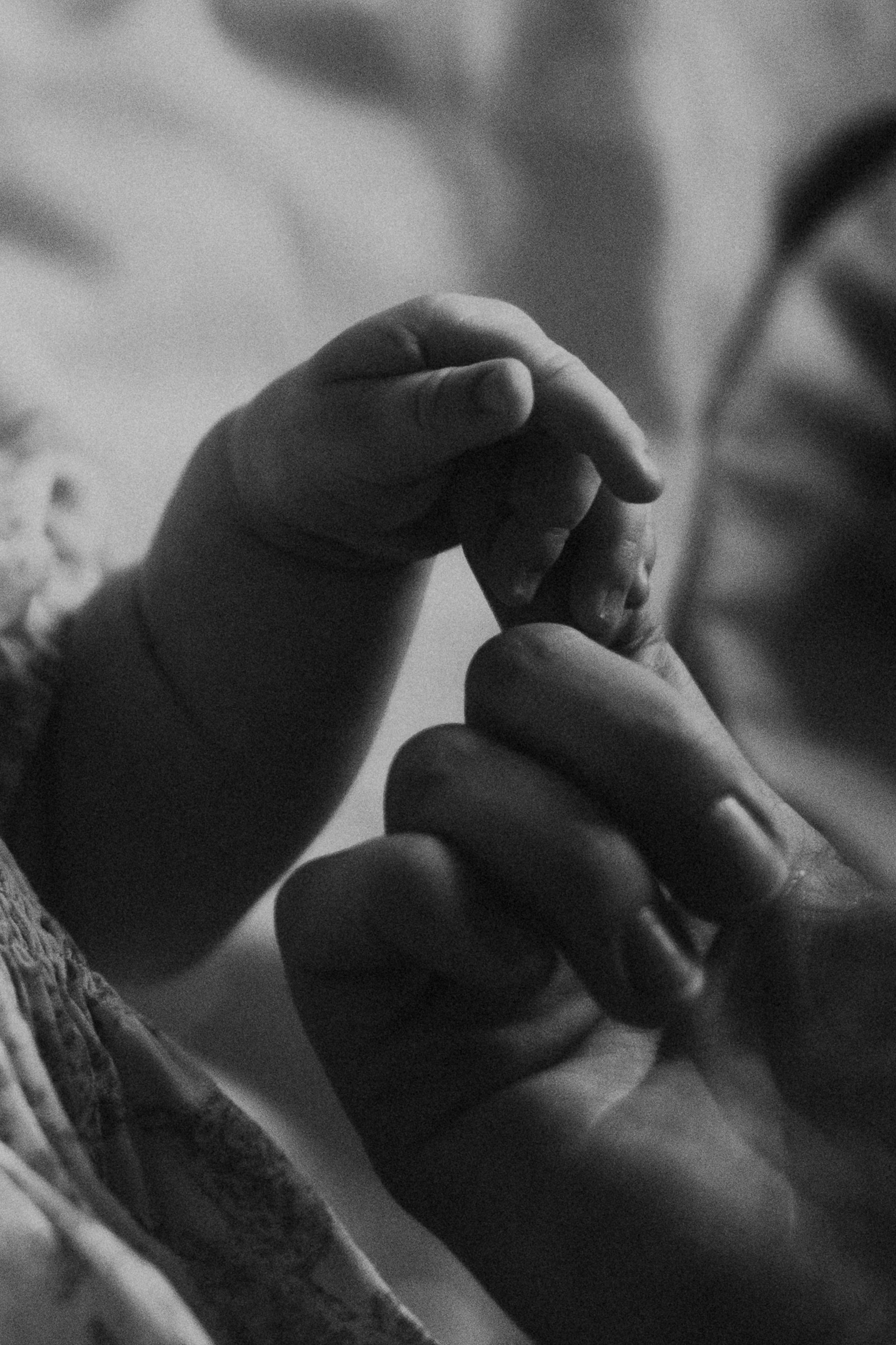 *. Wedding and family photographer San Diego