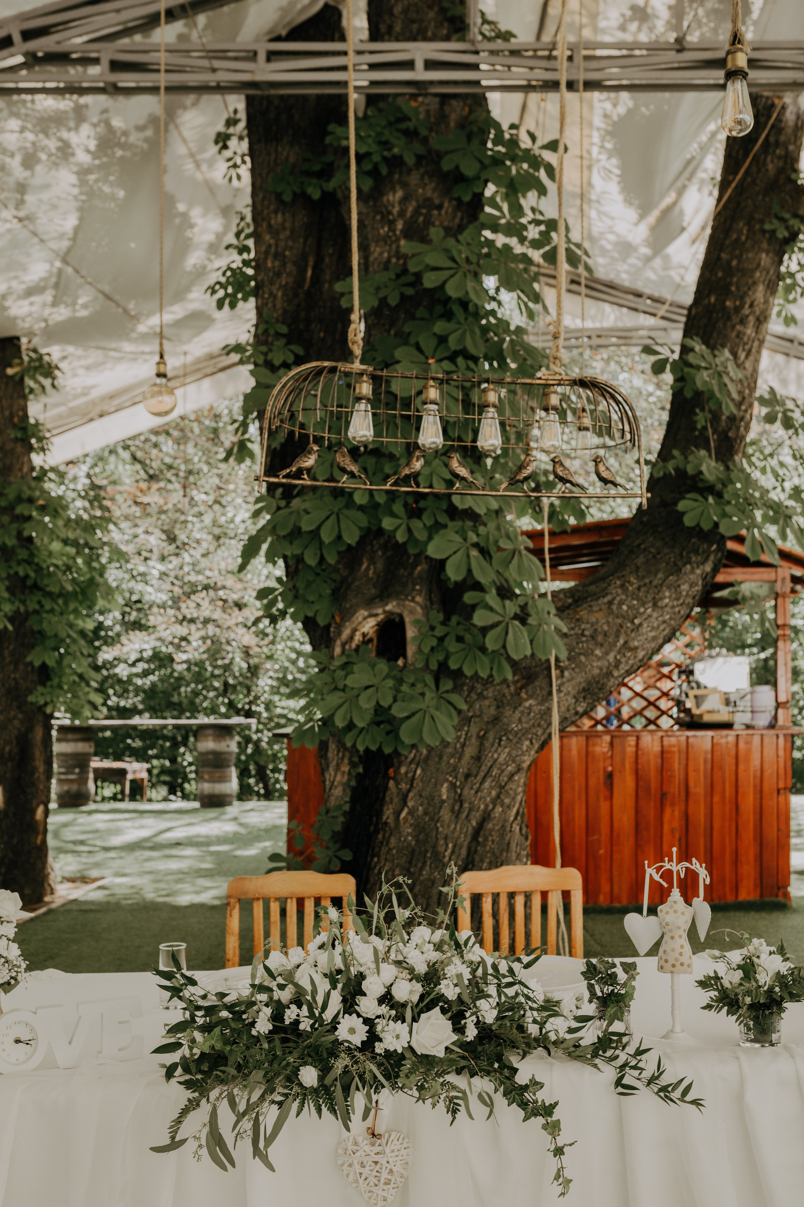 A & D. Fotograf Nunta Iasi - Hearts & Pictures