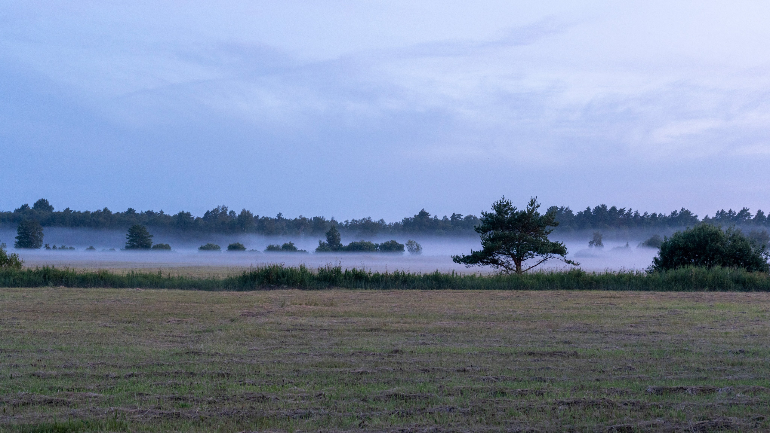 Whispers of Estonia. Photography | Videography | Marketing