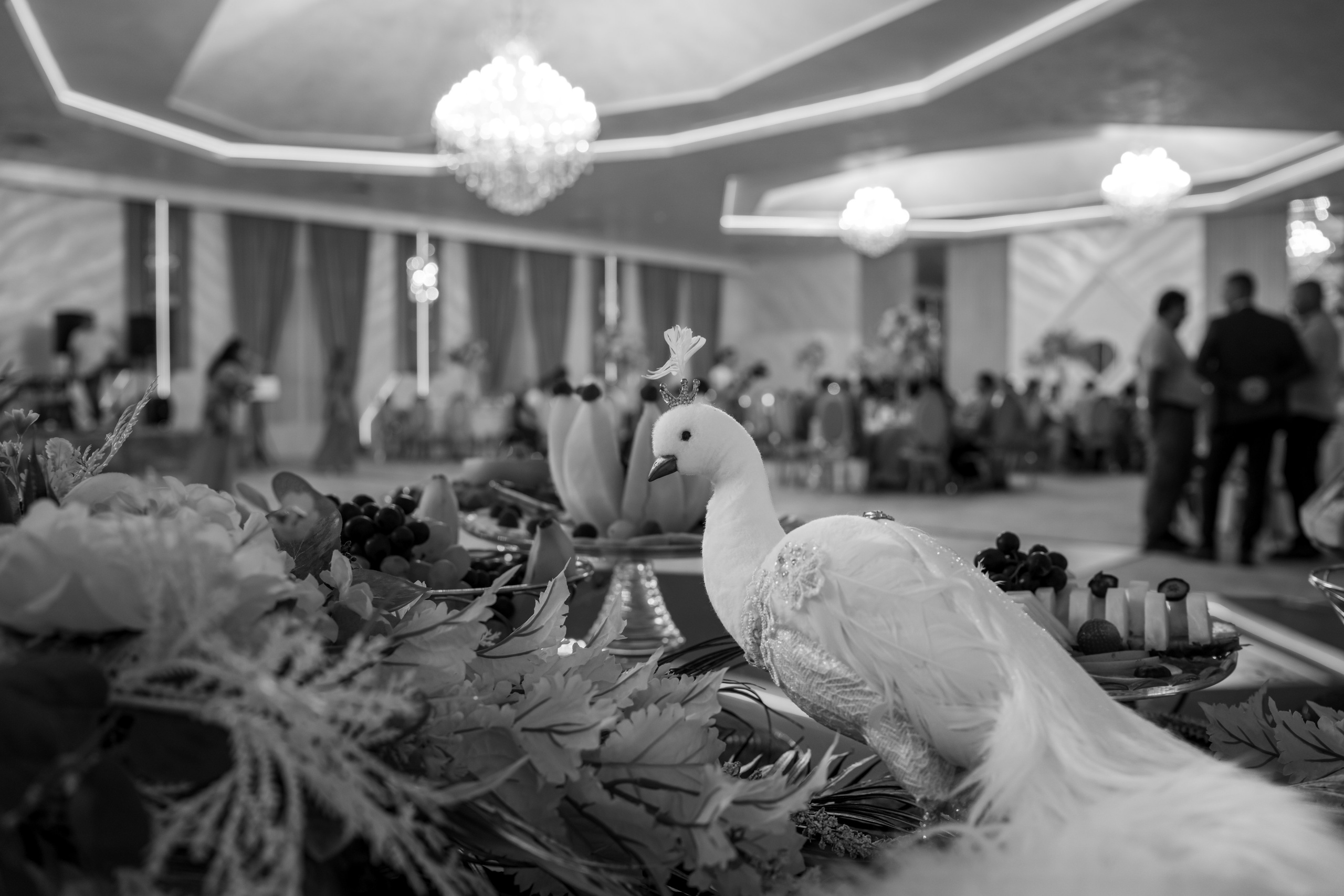 Aniversare 50 ani Corina Chileanu