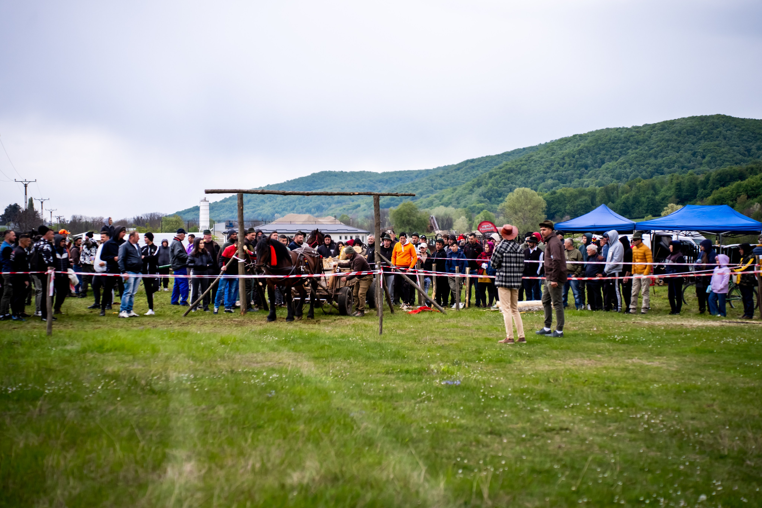 Concurs Ecvestru Vărbilău ediția a 4-a. Mihai Alexandra Events