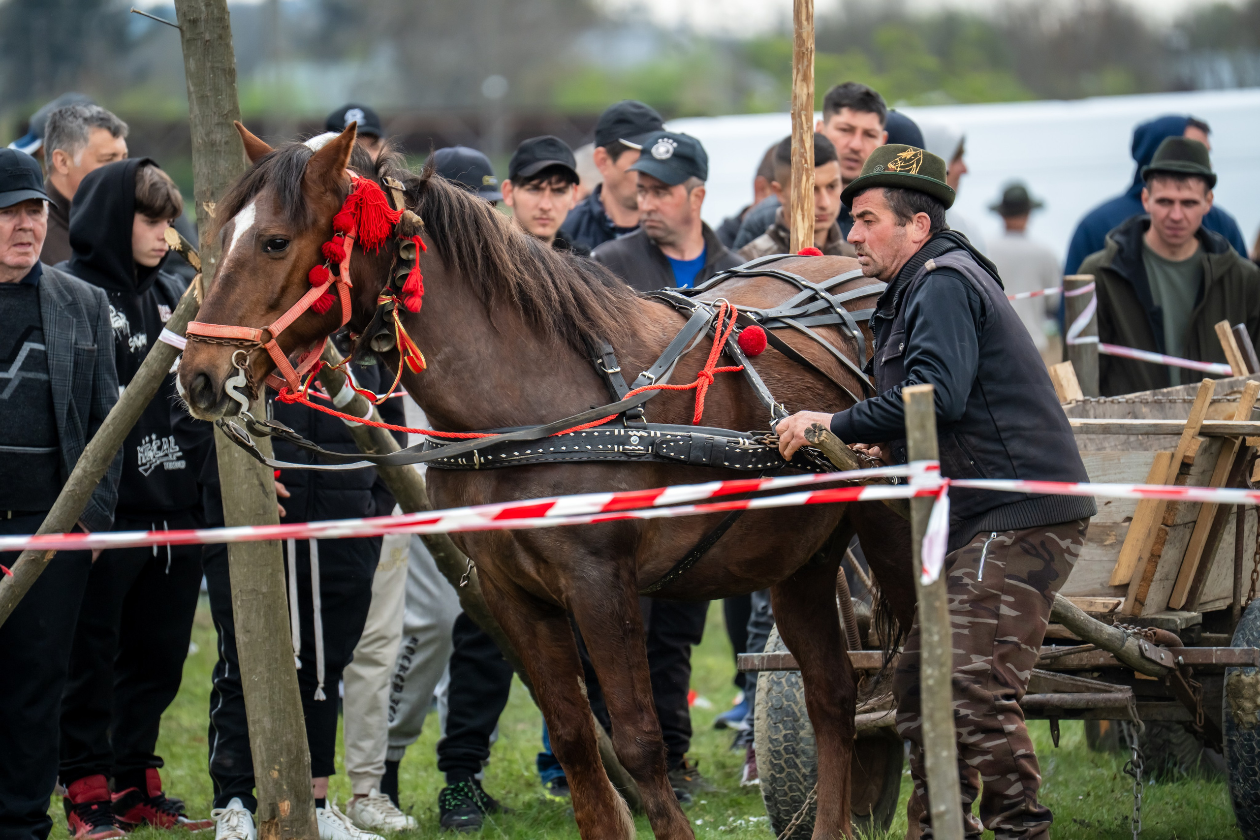 Concurs Ecvestru Vărbilău ediția a 4-a. Mihai Alexandra Events