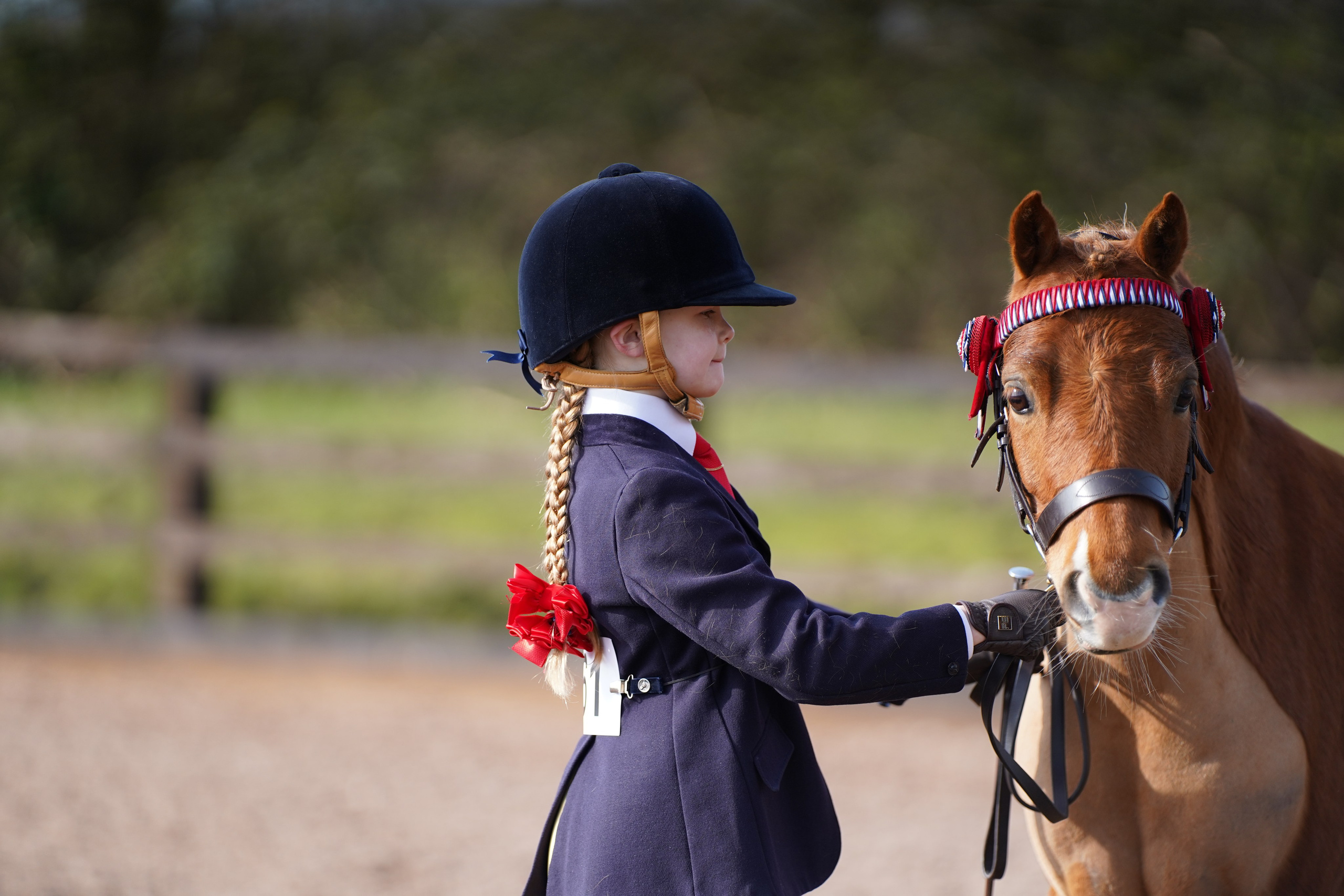 Showing. Leicestershire Equine Photography by El | Authentic Equine Portraits & Events