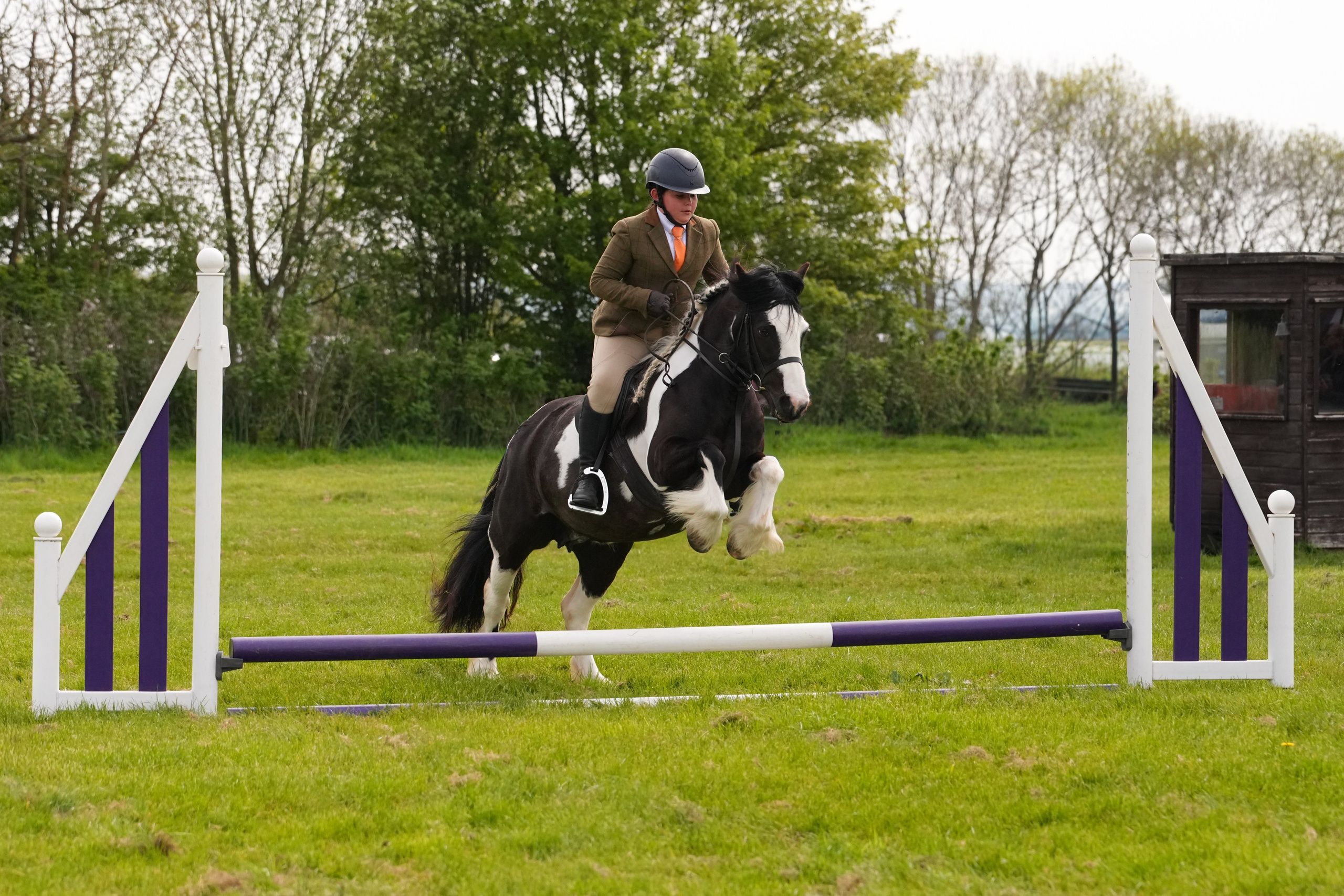Show Jumping Photography in Leicestershire | Equine Action Shots by El. Leicestershire Equine Photography by El | Authentic Equine Portraits & Events