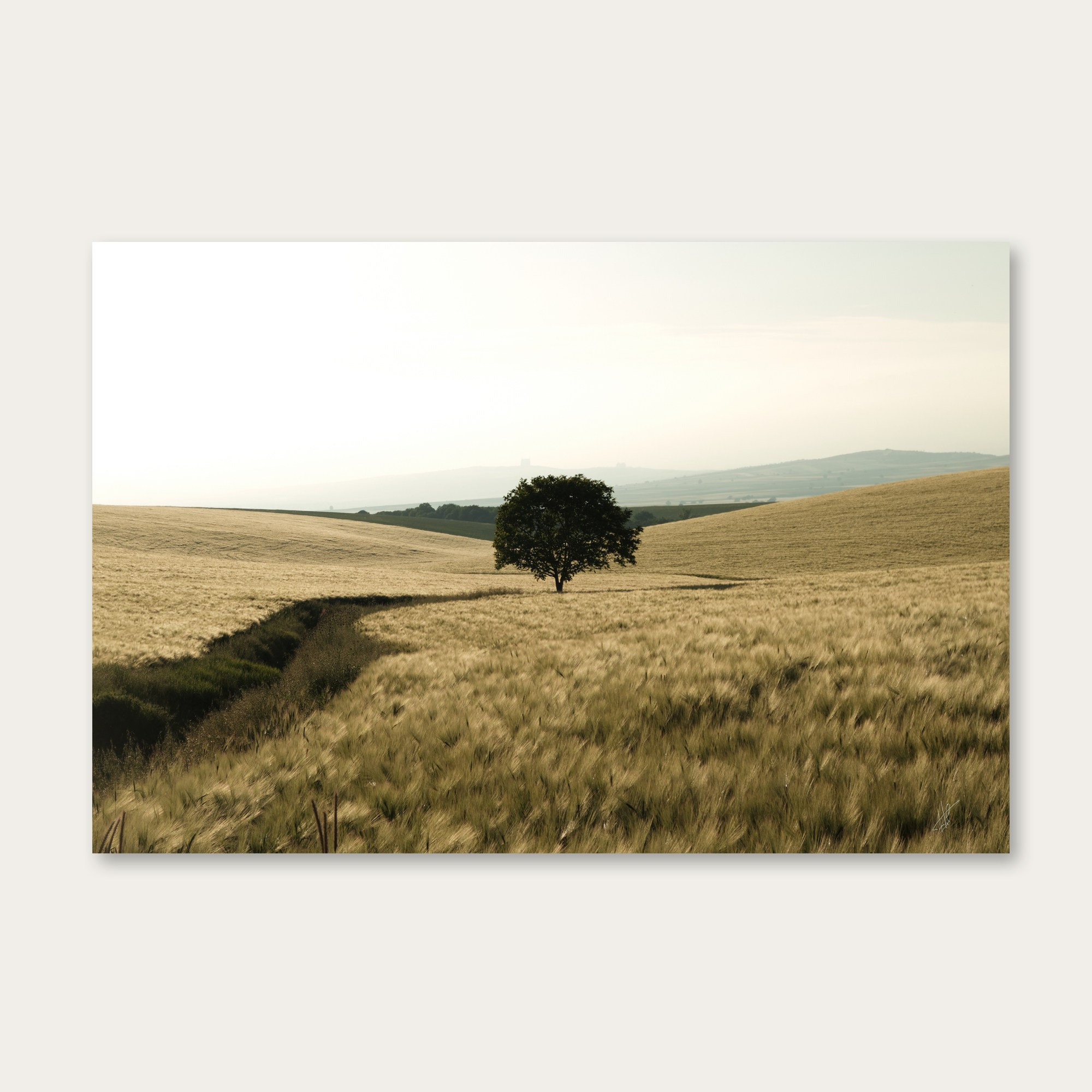 Ivanovka, Azerbaijan, 2022. Fuad Shafiyev