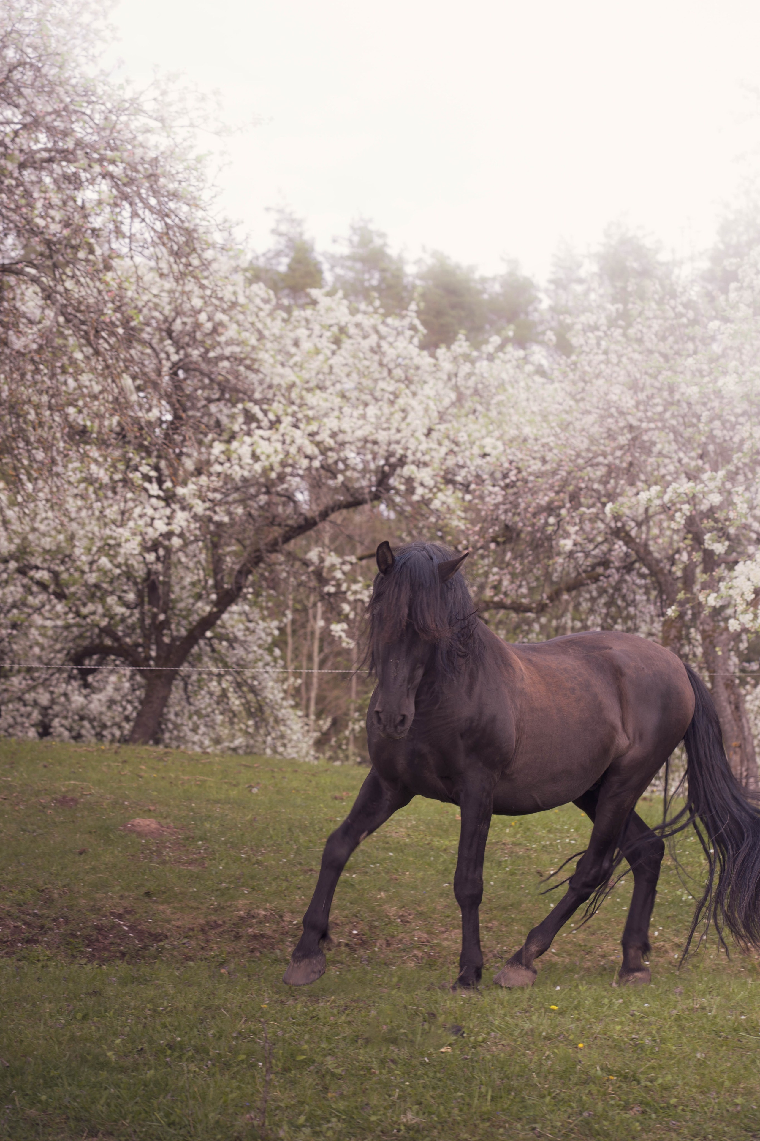 Inga ir jos ferma. Fotografija — Olga Bojarin