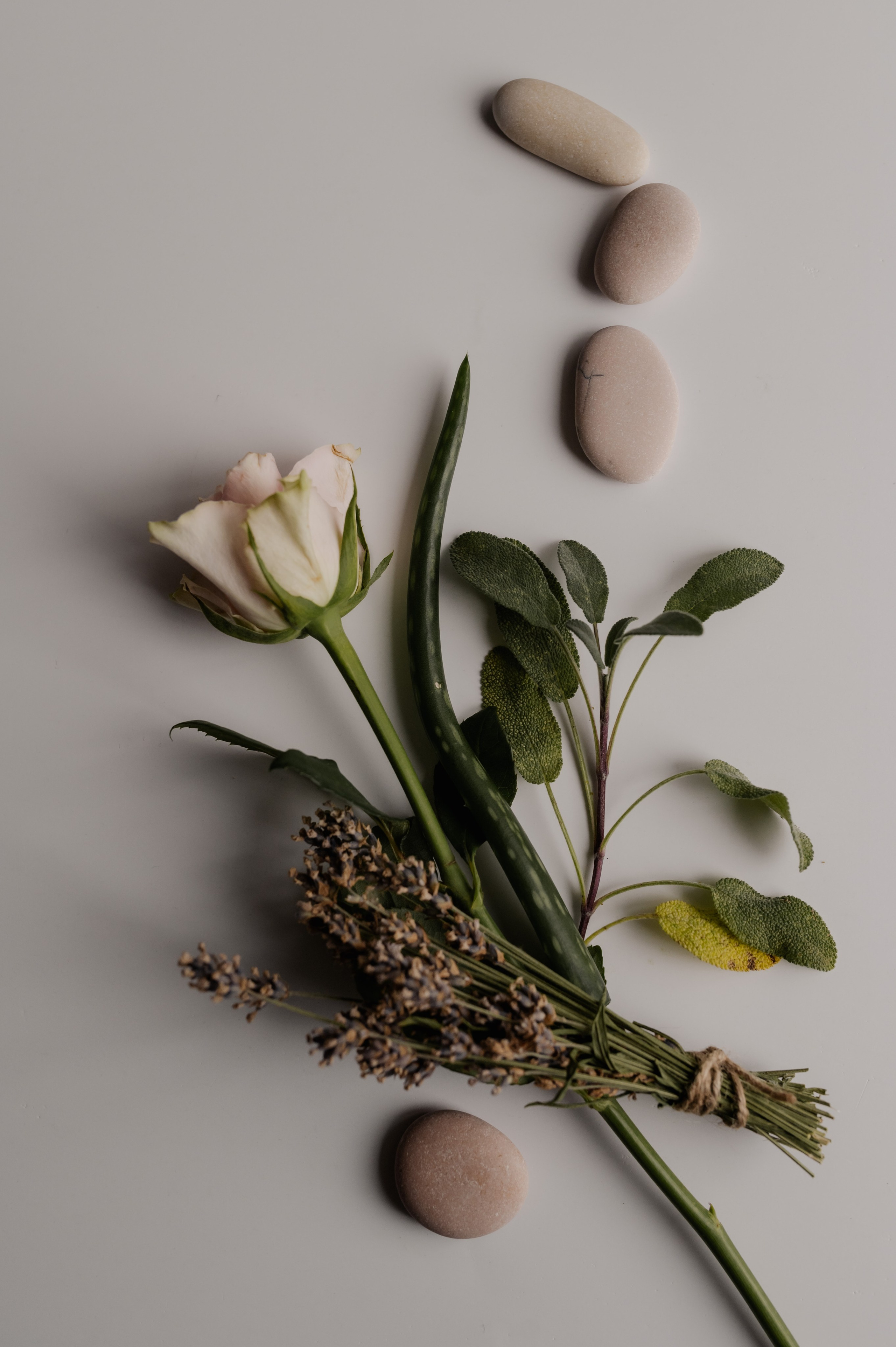 Produktshooting für Weigel-Apotheke. Photographer in Nuremberg Irina Mehnert from Ansbach