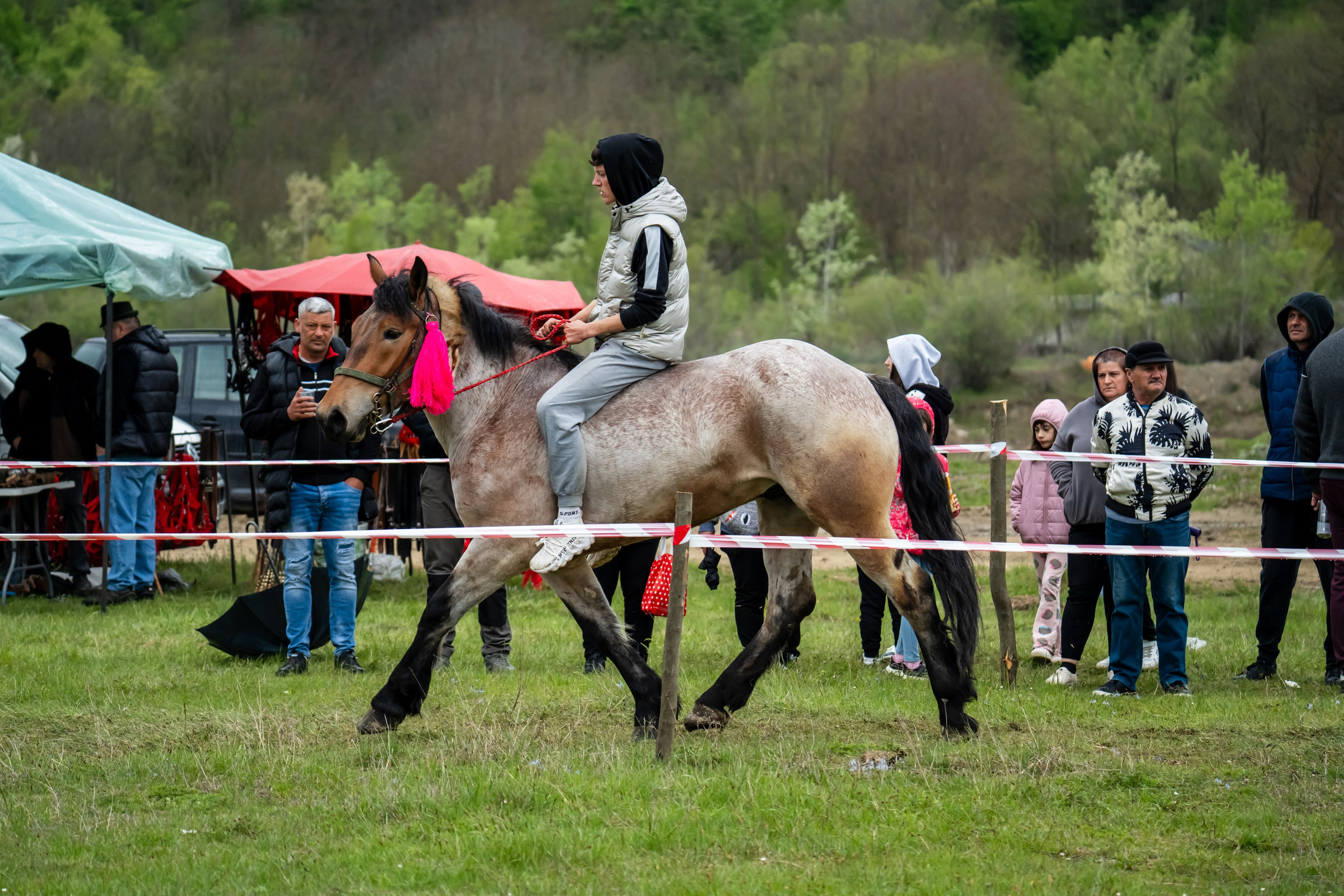 Concurs Ecvestru Vărbilău ediția a 4-a. Mihai Alexandra Events